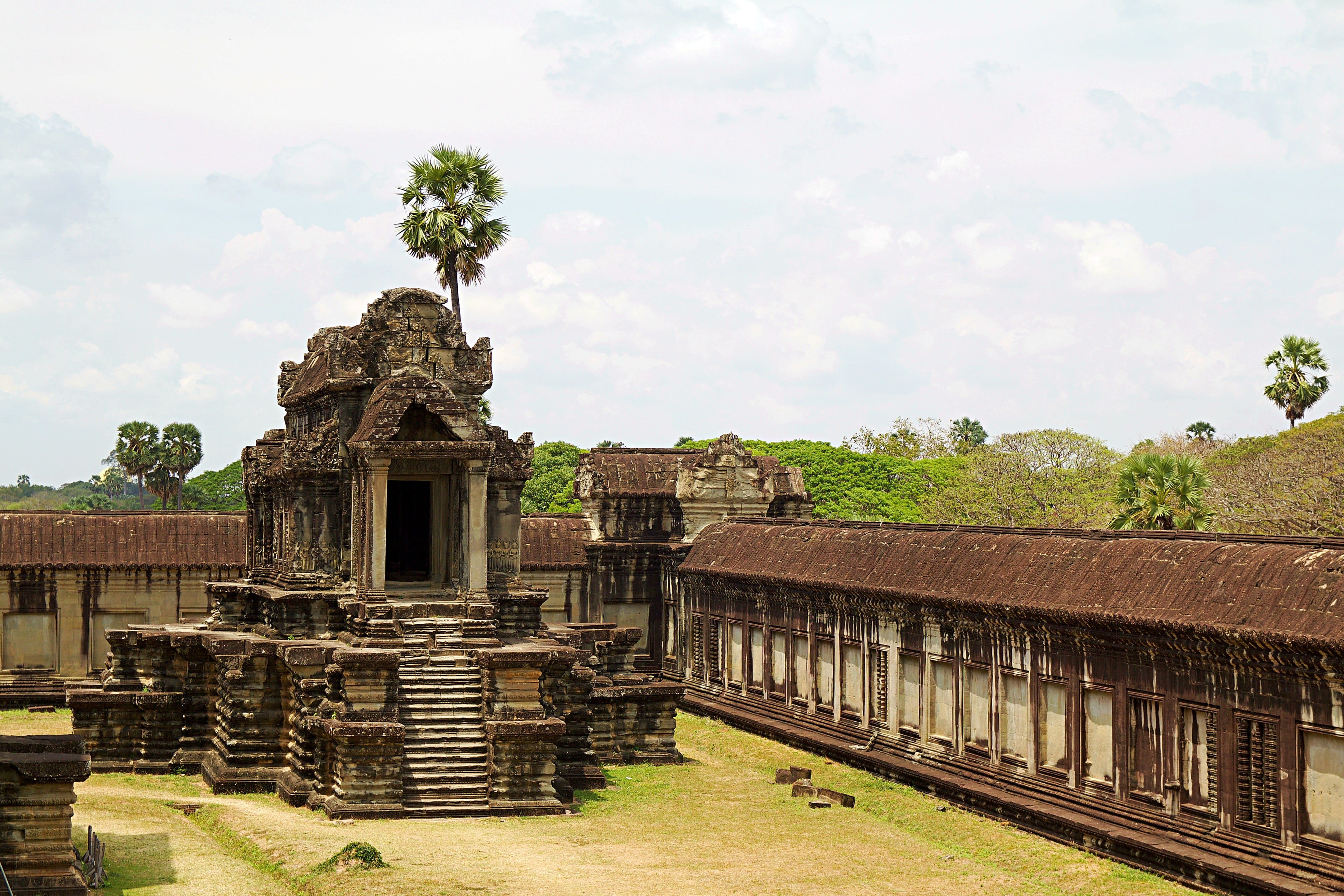 historically, the past, Cambodia, concrete, buddhism, plant, world heritage, unesco world heritage, angkor, unesco, tourism, cloudy, temple complex, outdoors, HD Wallpaper