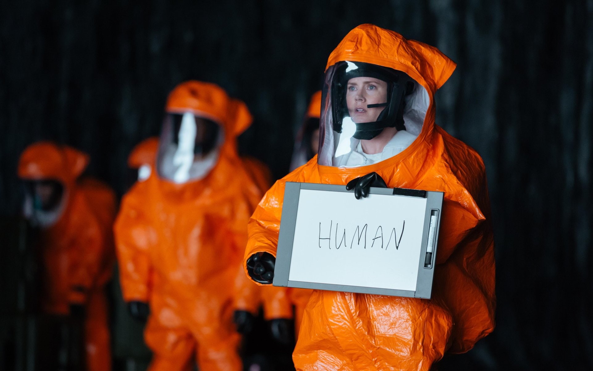 1080P, Movie, Arrival, Amy Adams, Arrival (Movie), HD Wallpaper