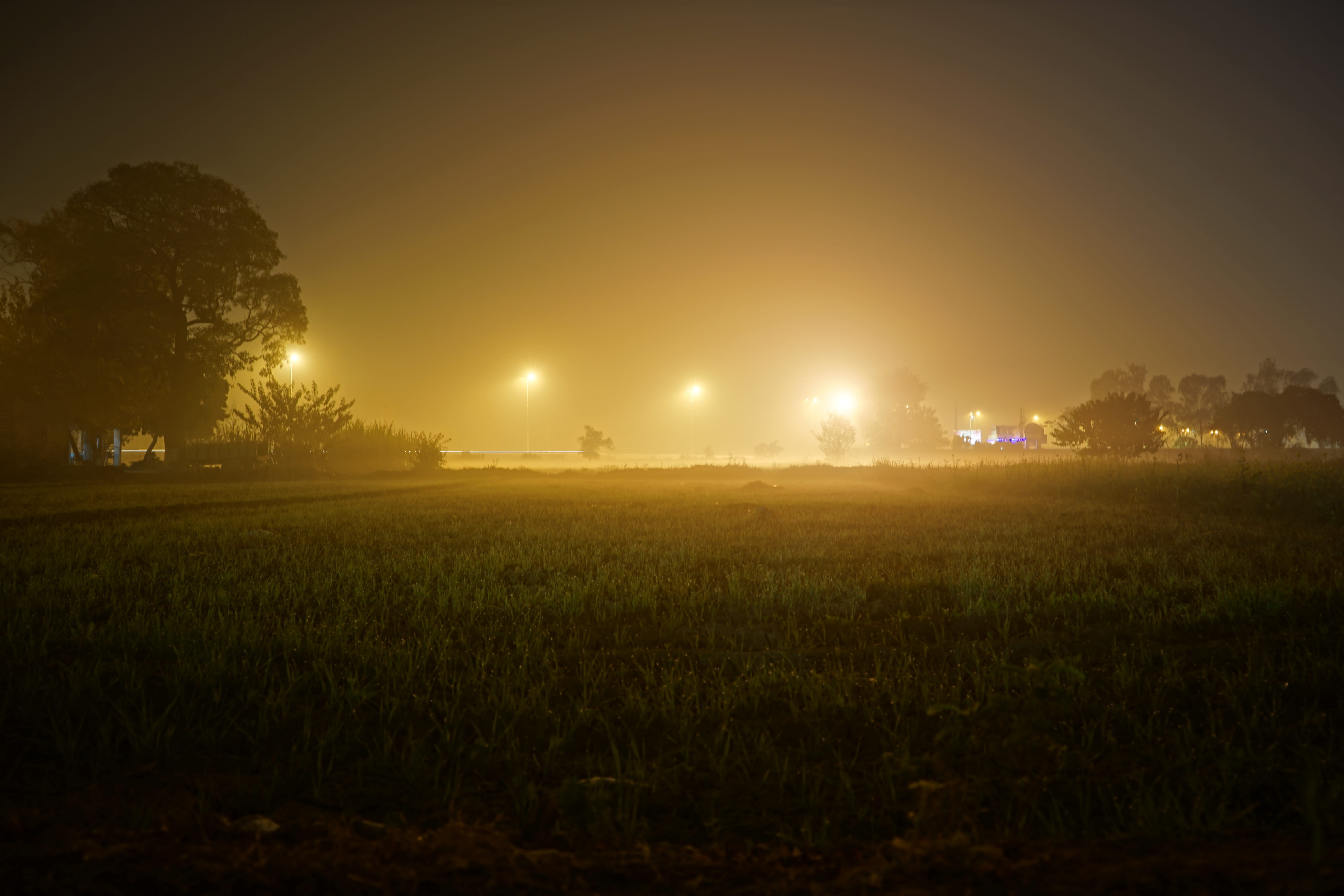 grass, 5K, foggy, highway, tranquil scene, weather, nature, growth, sky, field, crop, village, scenics - nature, tranquility, environment, night, orangeglow, HD Wallpaper