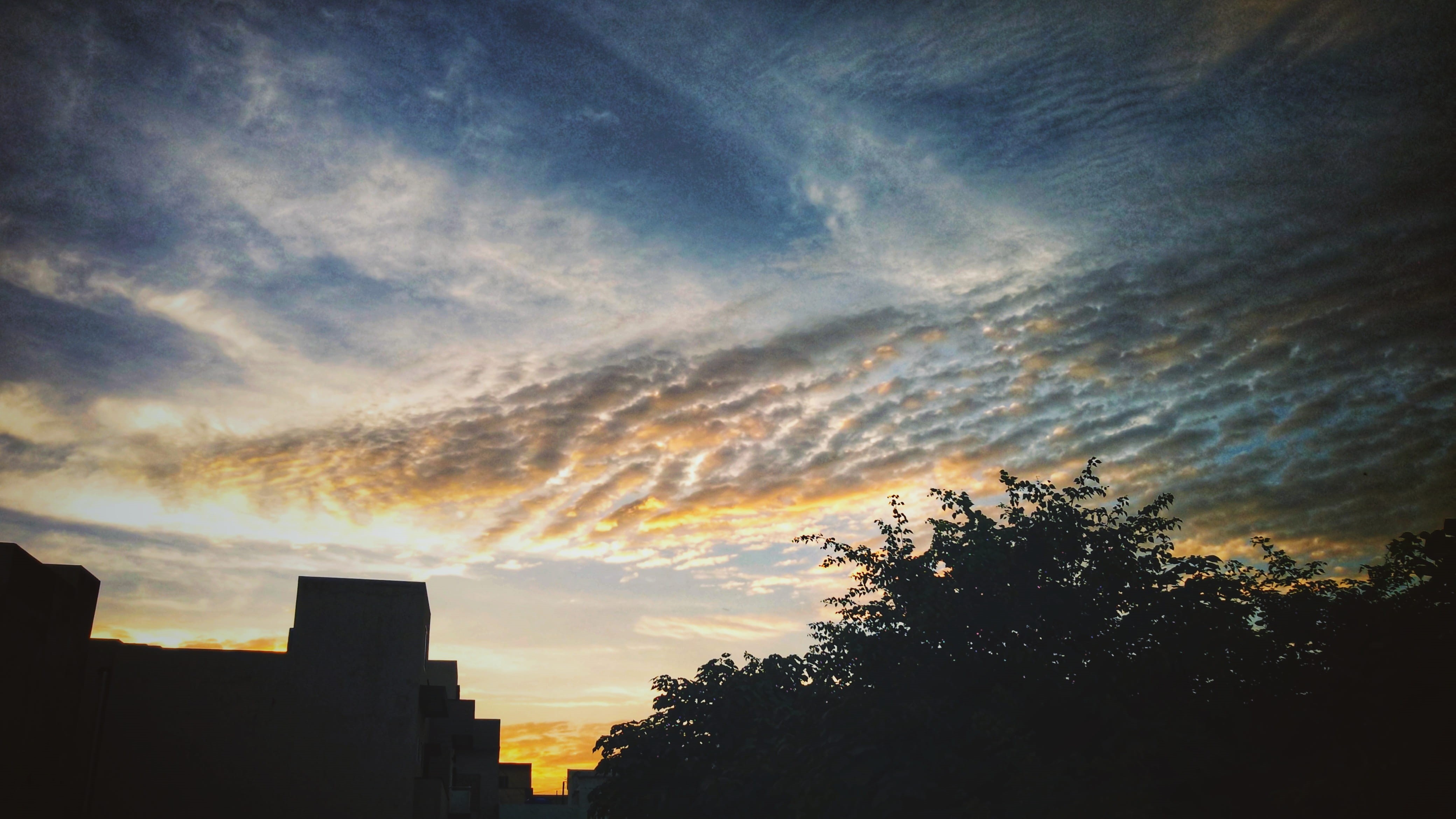 nature, apartment, building, plant, architecture, building exterior, outdoors, tranquility, cloud - sky, beauty in nature, no people, tree, silhouette, HD Wallpaper