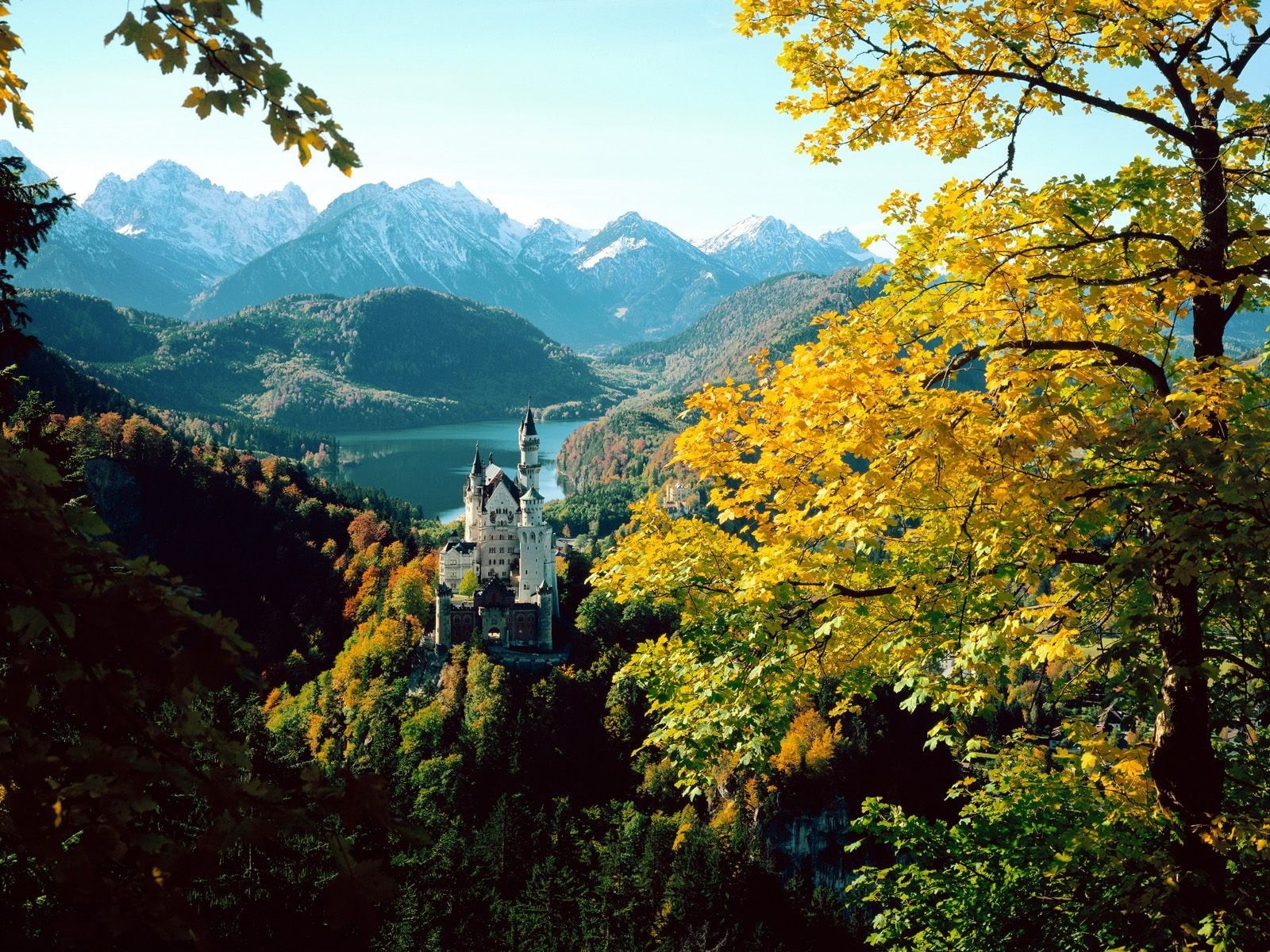 autumn collection, mountain, sky, plant, day, environment, Neuschwanstien, non-urban scene, architecture, tranquil scene, outdoors, idyllic, castle, tranquility, HD Wallpaper