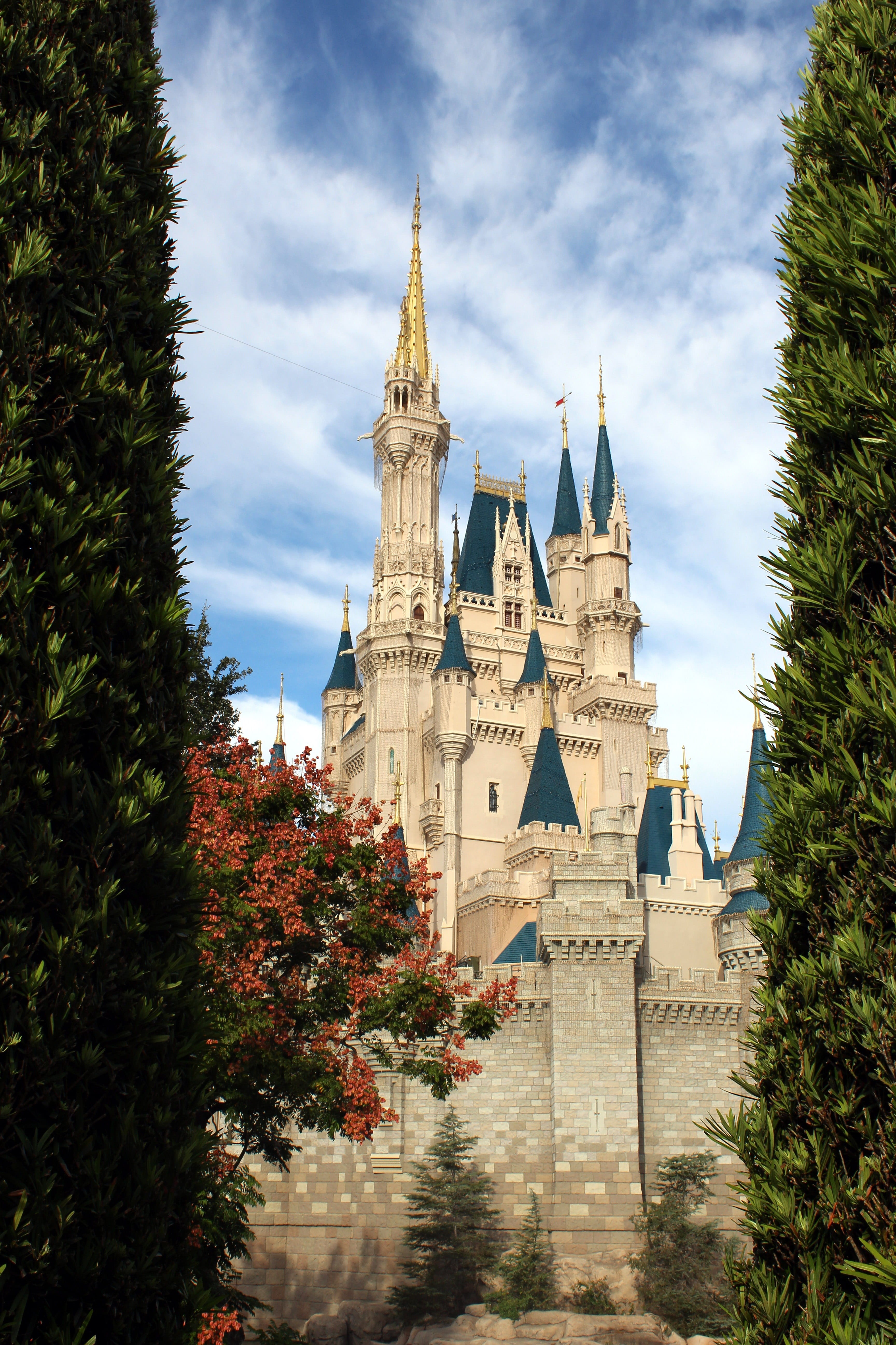 building exterior, travel destinations, place of worship, castle, cinderella, tower, disney, nature, spire, architecture, history, no people, travel, plant, Phone HD Wallpaper