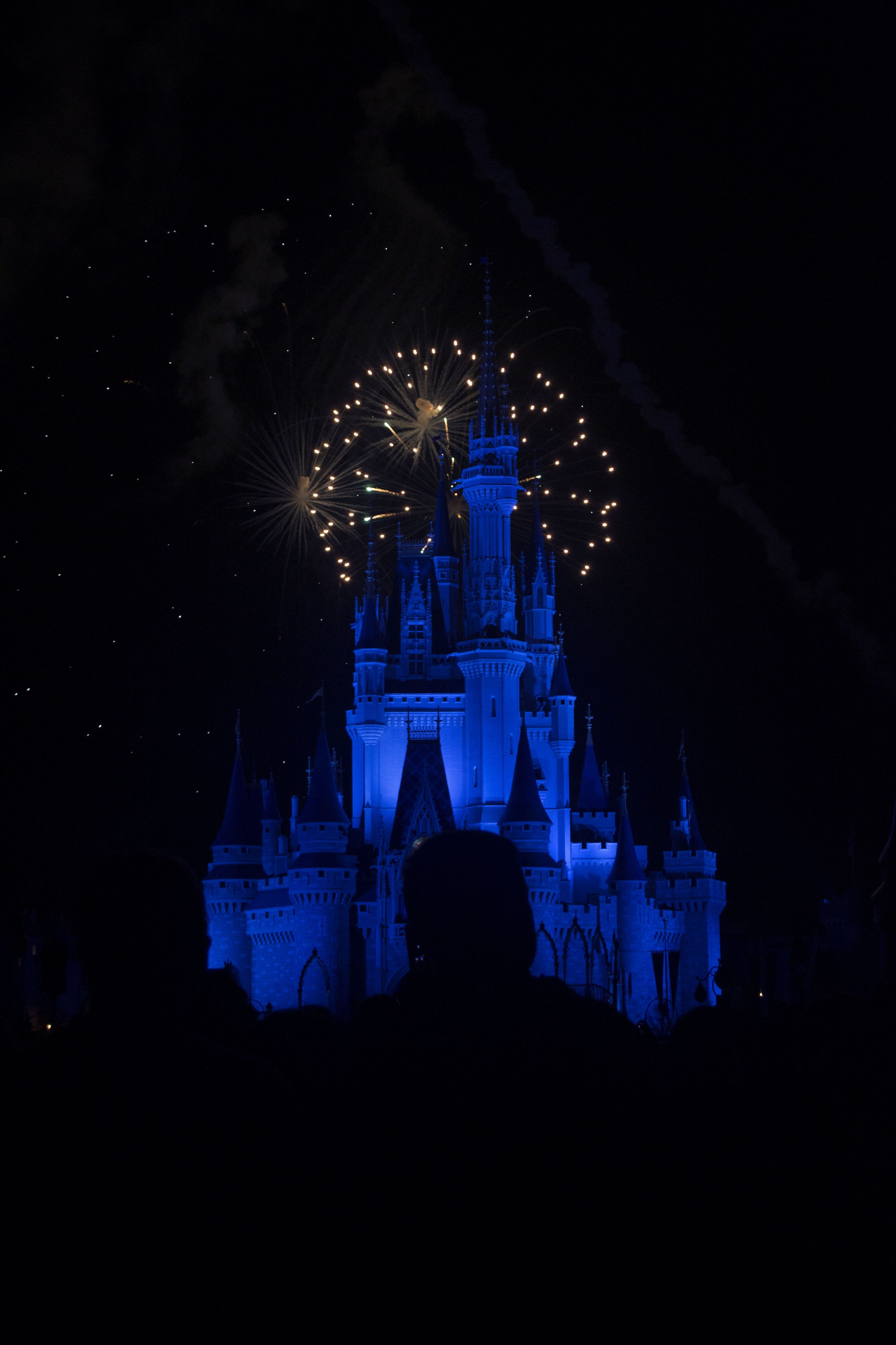 silhouette, city, orlando, firework display, event, night, architecture, exploding, motion, outdoors, built structure, building, magic kingdom drive, travel, Phone HD Wallpaper