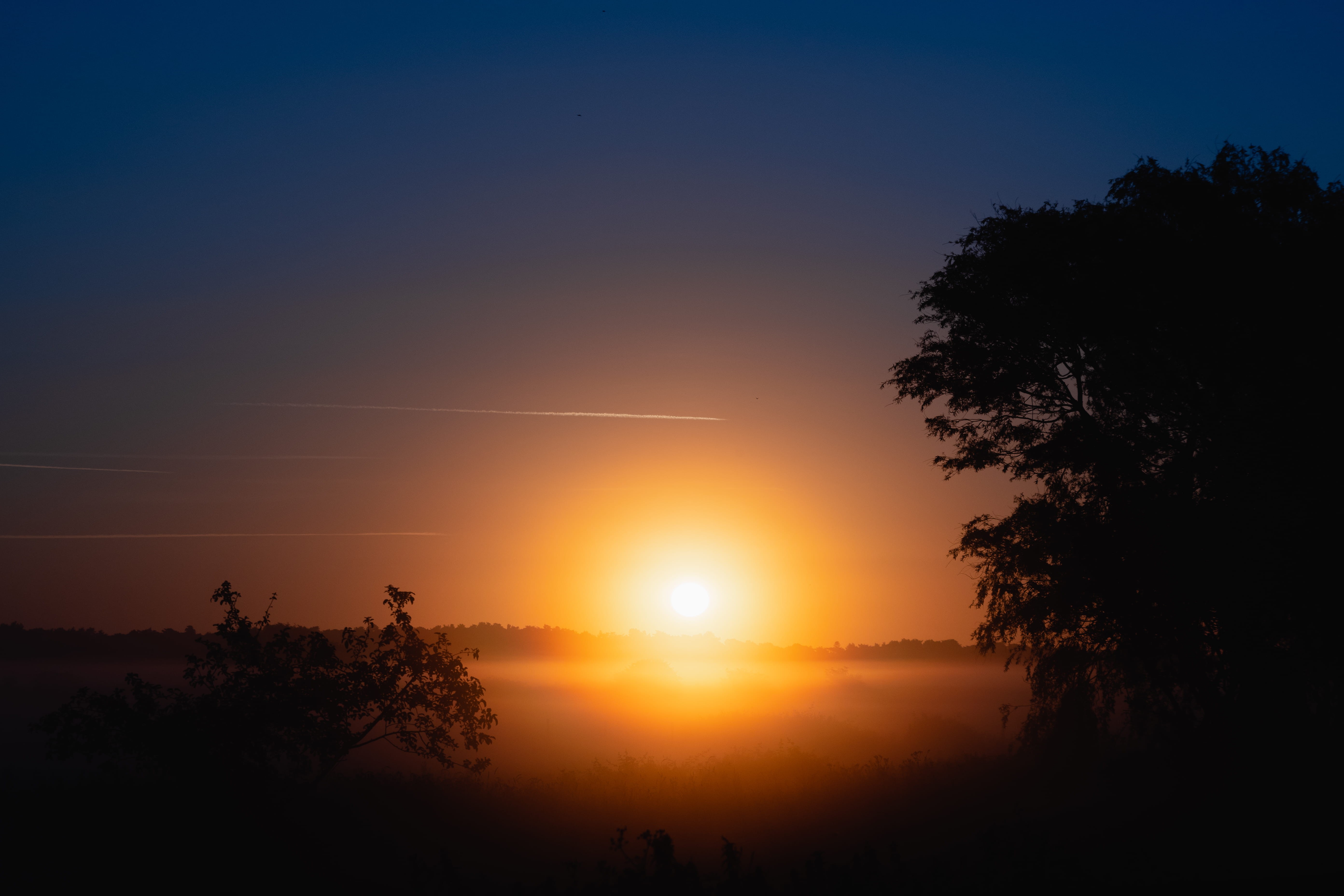 sunrise, sun, environment, magic hour, mist, holkham, no people, outdoors, beauty in nature, orange color, idyllic, plant, field, tree, trees, tranquil scene, HD Wallpaper