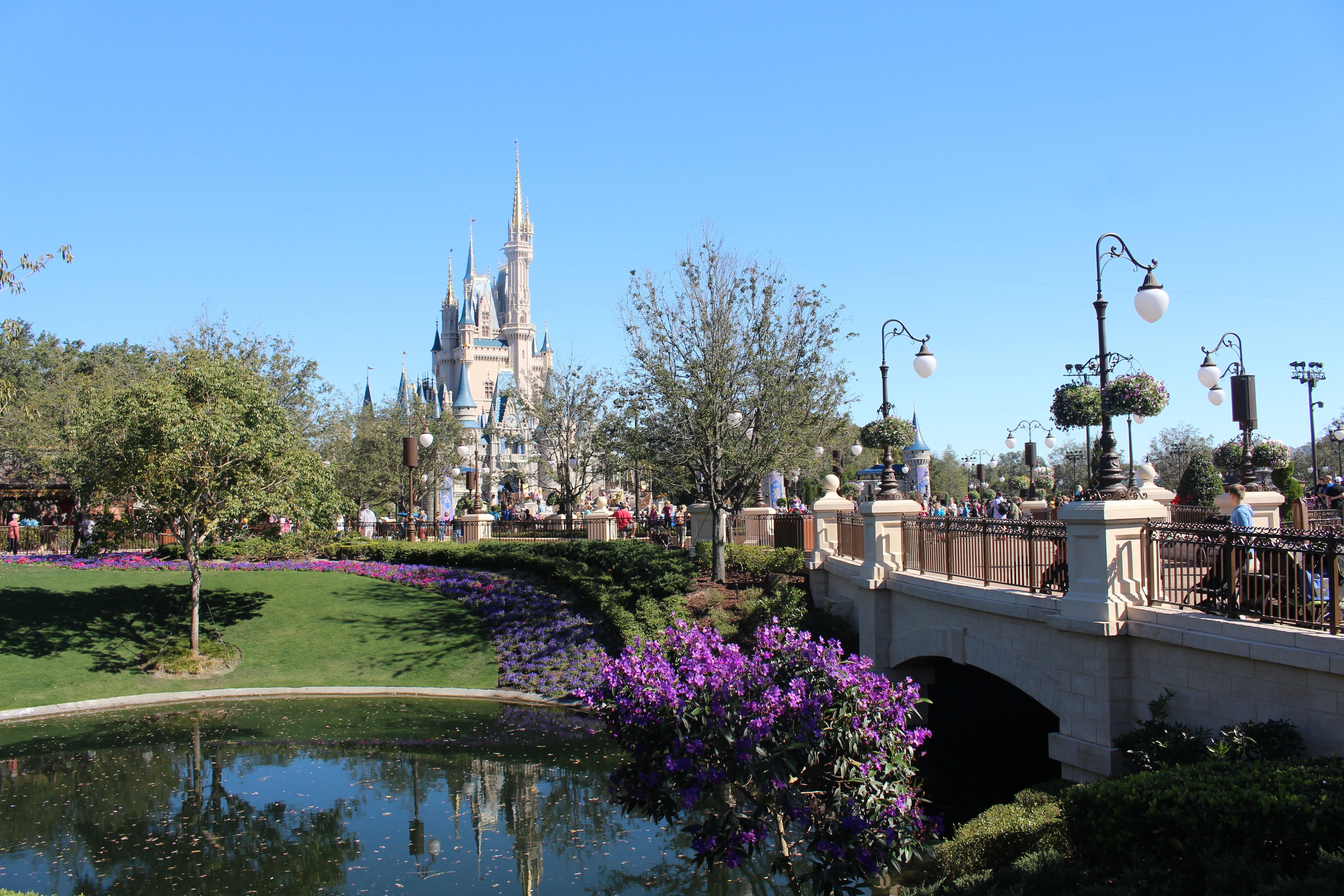 bridge, disney world, water, church, florida, architecture And Buildings, flowering plant, 5K, castle, city, building, white, architecture, outdoors, connection, HD Wallpaper