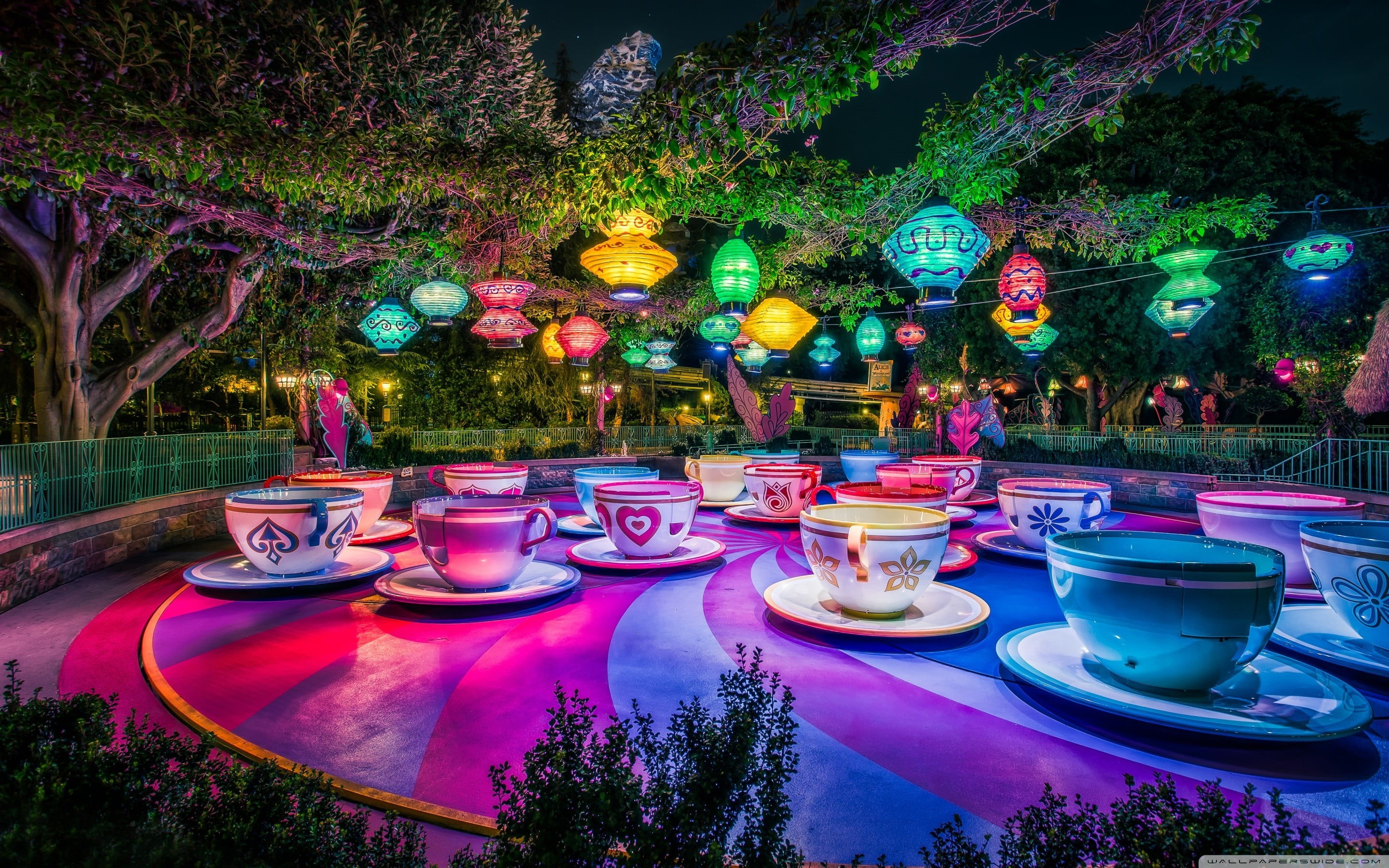theme parks, purple, no people, table, teacup, trees, pink color, park, lot, front or back yard, color, nature, tree, architecture, night, creativity, lantern, HD Wallpaper