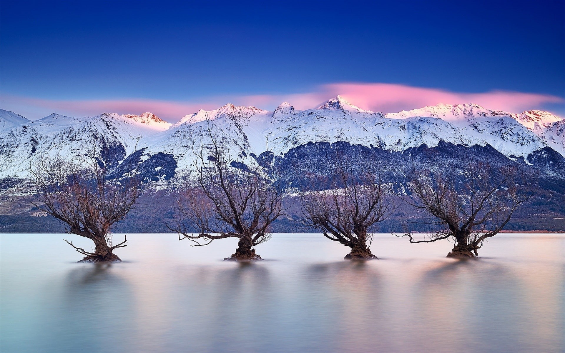 New, Queenstown, Trees, Southern, Lake, Zealand, Wakatipu, Alps, 1080P, HD Wallpaper