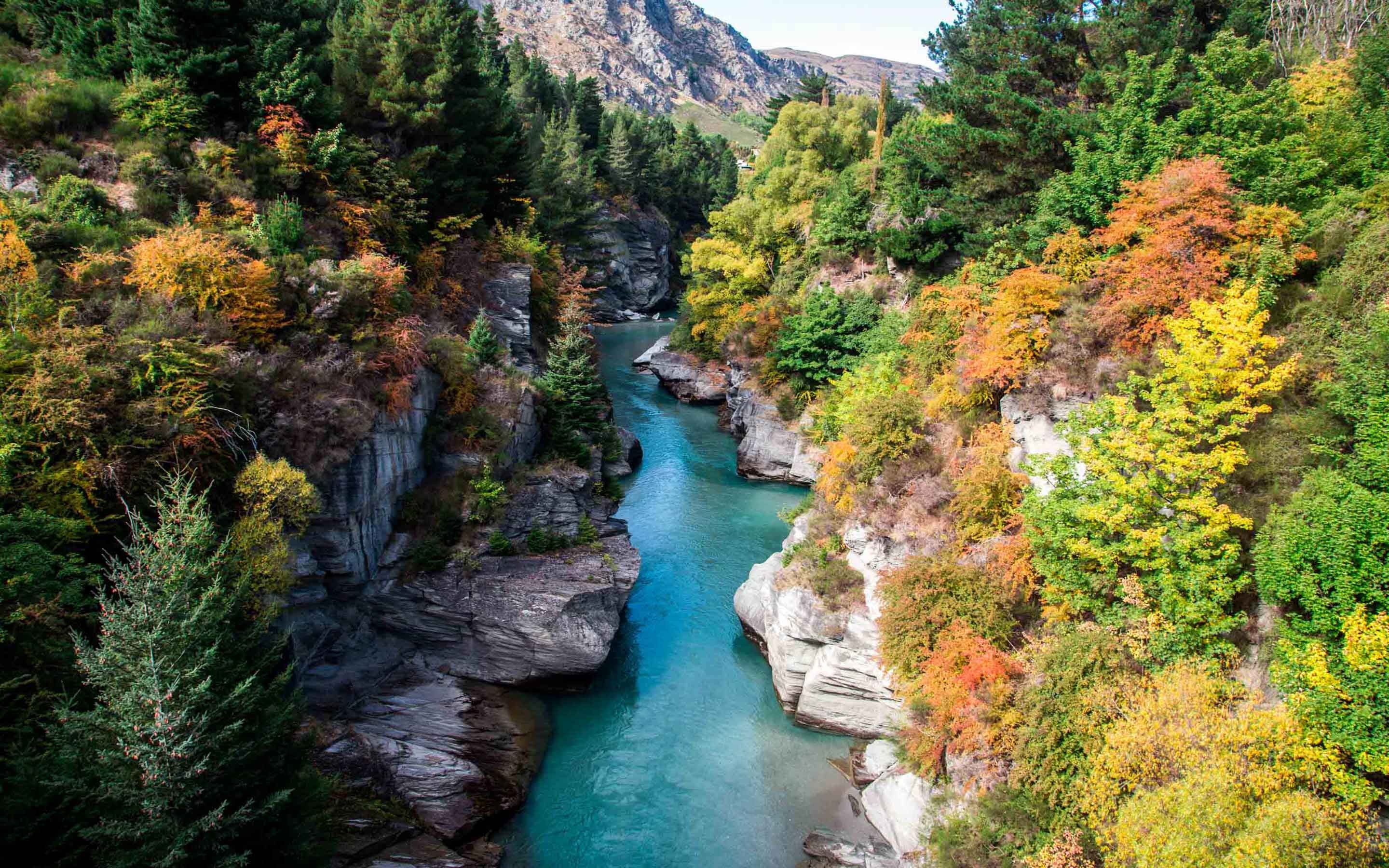 queenstown, autumn, flowing water, idyllic, forest, outdoors, waterfall, 2K, stream - flowing water, non-urban scene, zealand, river, flowing, HD Wallpaper