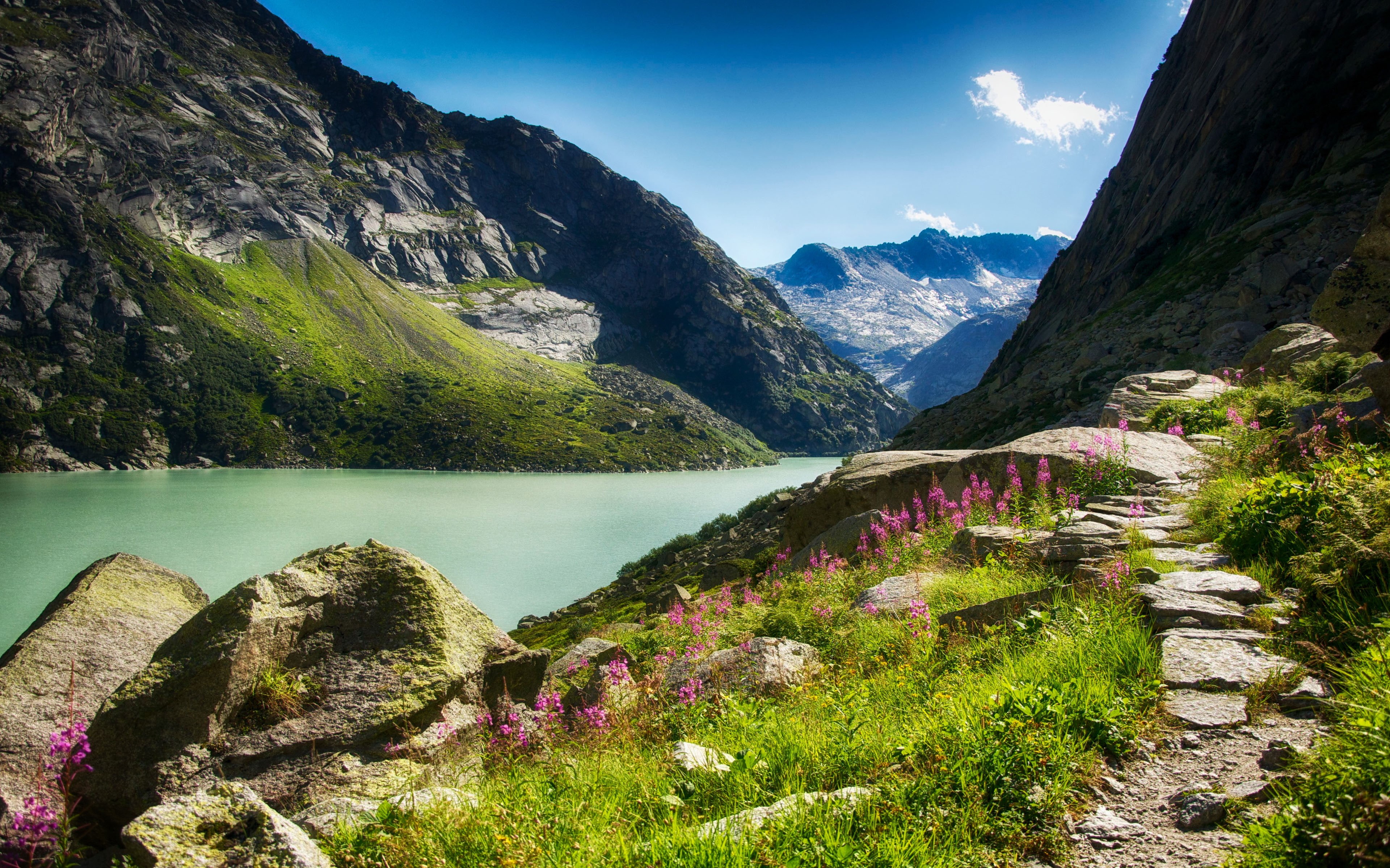 lake, tablet, flowers, 4K, gorge, caucasus, mountains, mobile, computer, sunny, path, stone, HD Wallpaper