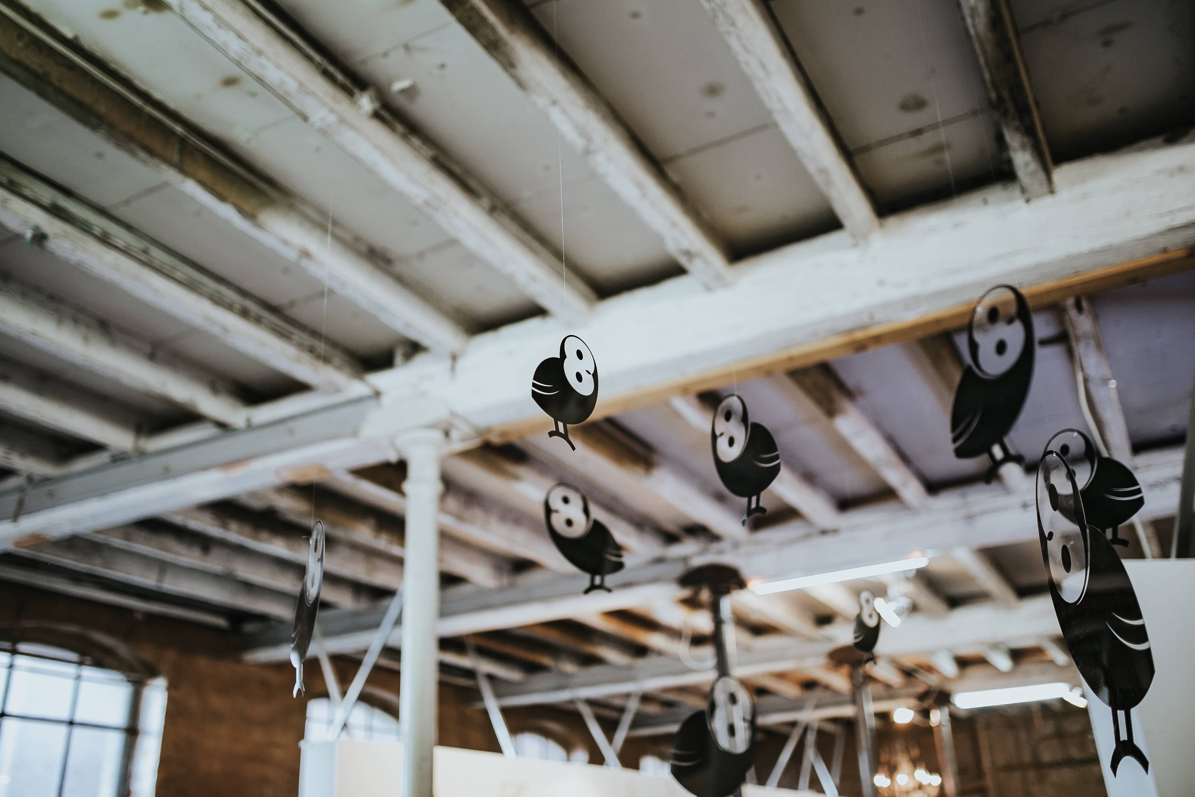 owls, hanging, electricity, ceiling fan, metal, birds, old, focus on foreground, architecture, Little black, fan, ceiling, plastic, built Structure, low angle view, HD Wallpaper