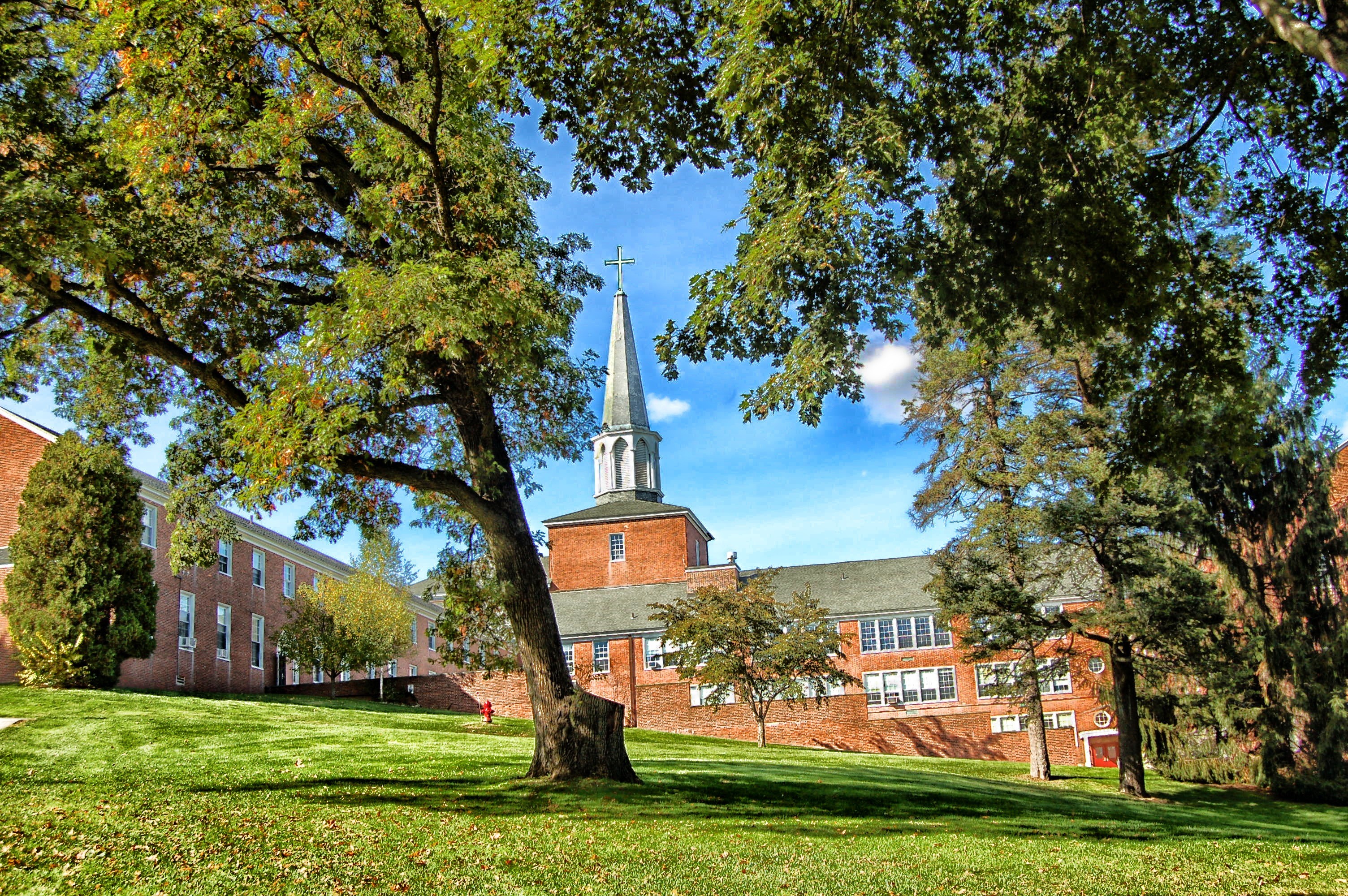 sunlight, hamilton, tree, history, growth, place of worship, plant, architecture, nature, college, building, lawn, sky, clouds, leafed, school, buildings, HD Wallpaper