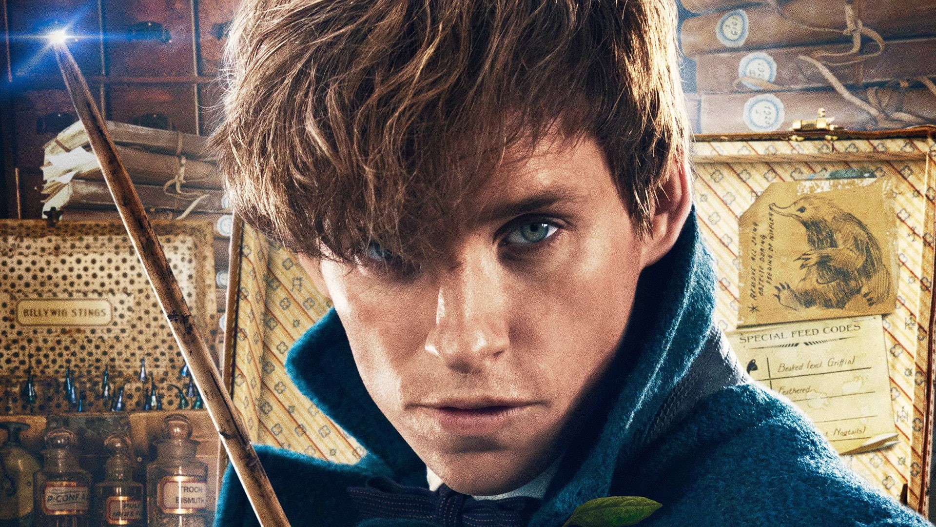 magic, Magical Congress of the United States of America, hd, magic wand, man, movie, Scamander, HP, ofiicial, mahou, USA, face, witch, Harry Potter, HD Wallpaper