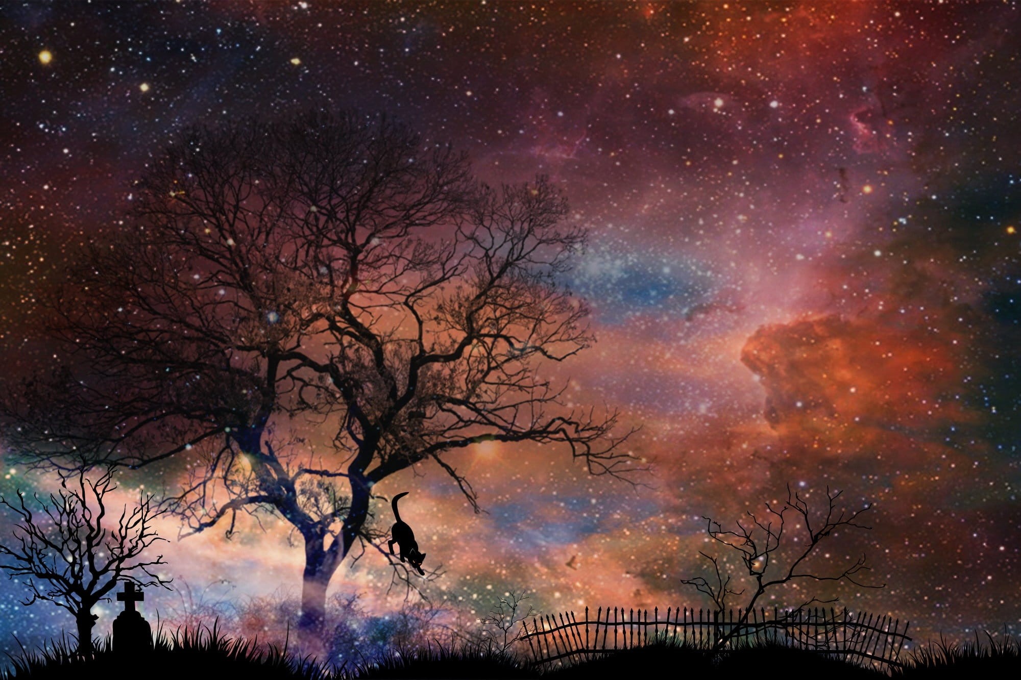 architecture, space, weird, beauty in nature, cemetery, landscape, weather, tombstone, fantasy, animal, shadow, shilouette, star, tranquility, starry night, HD Wallpaper