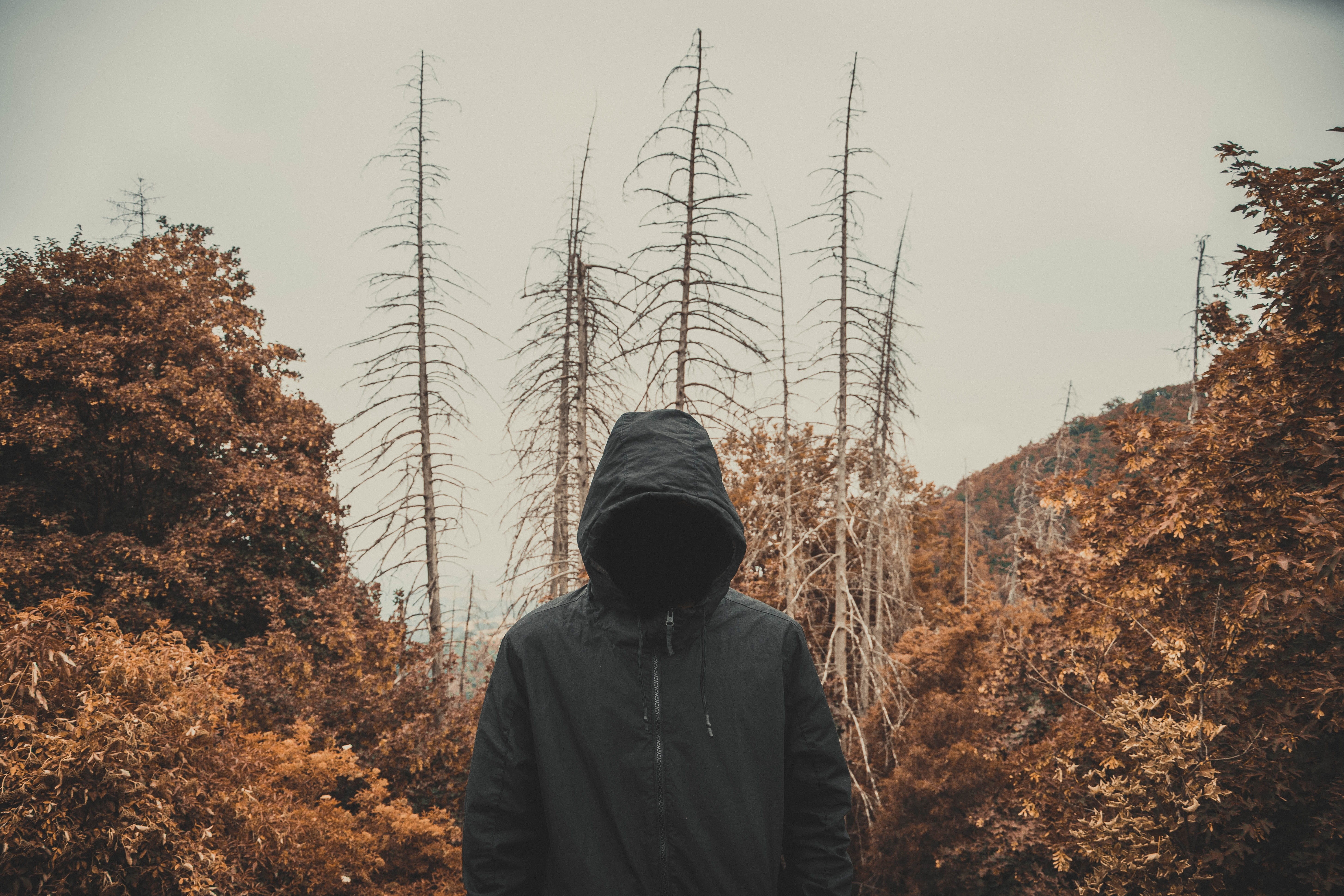 warm clothing, rear view, horror, sky, black, fantasy, waist up, fear, tree, old, plant, one person, orange, growth, change, leisure activity, himself, HD Wallpaper