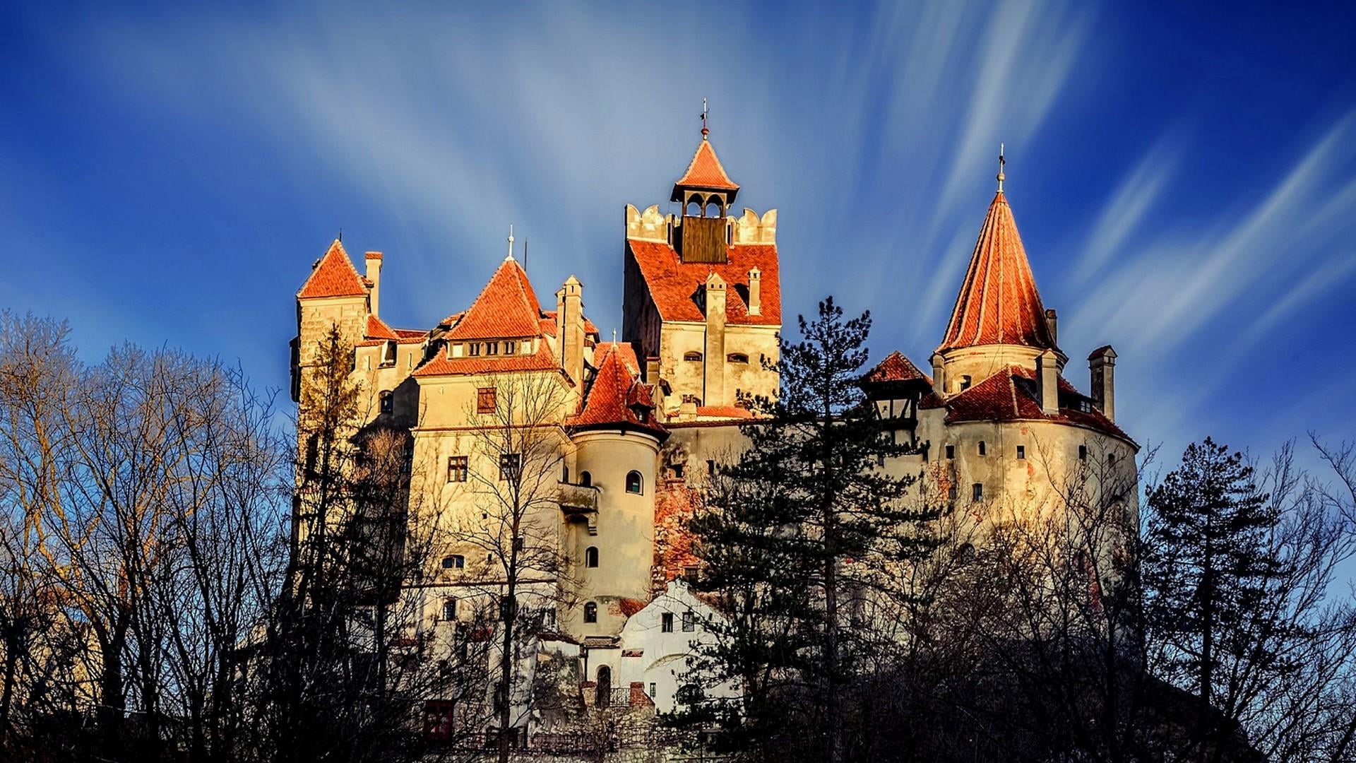 tree, bran castle, plant, tower, outdoors, city, built structure, travel destinations, architecture, blue, sky, transylvania, building exterior, dracula, HD Wallpaper