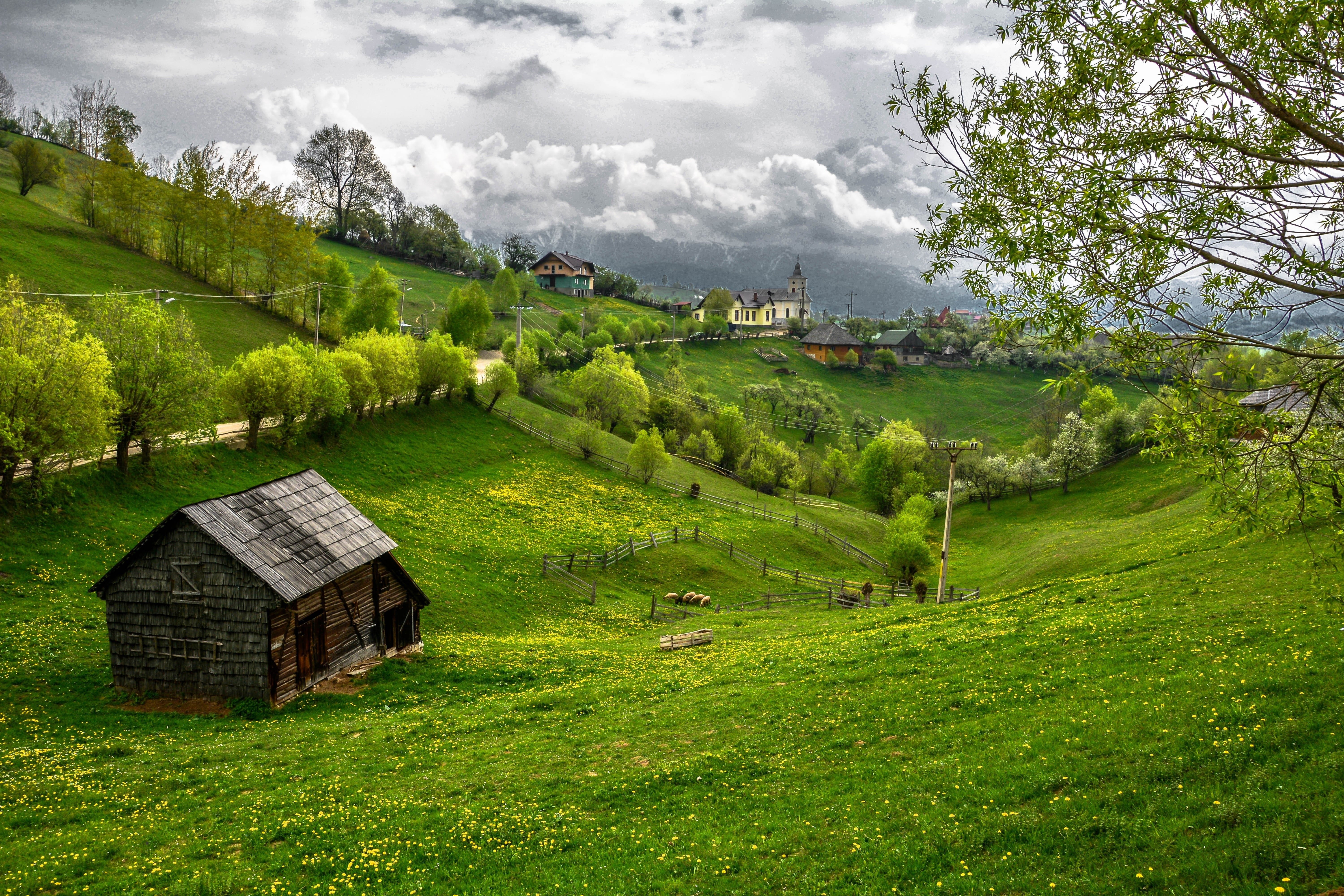 field, hills, Transylvania, 5K, trees, castle, Landscape, house, draculas, road, HD Wallpaper