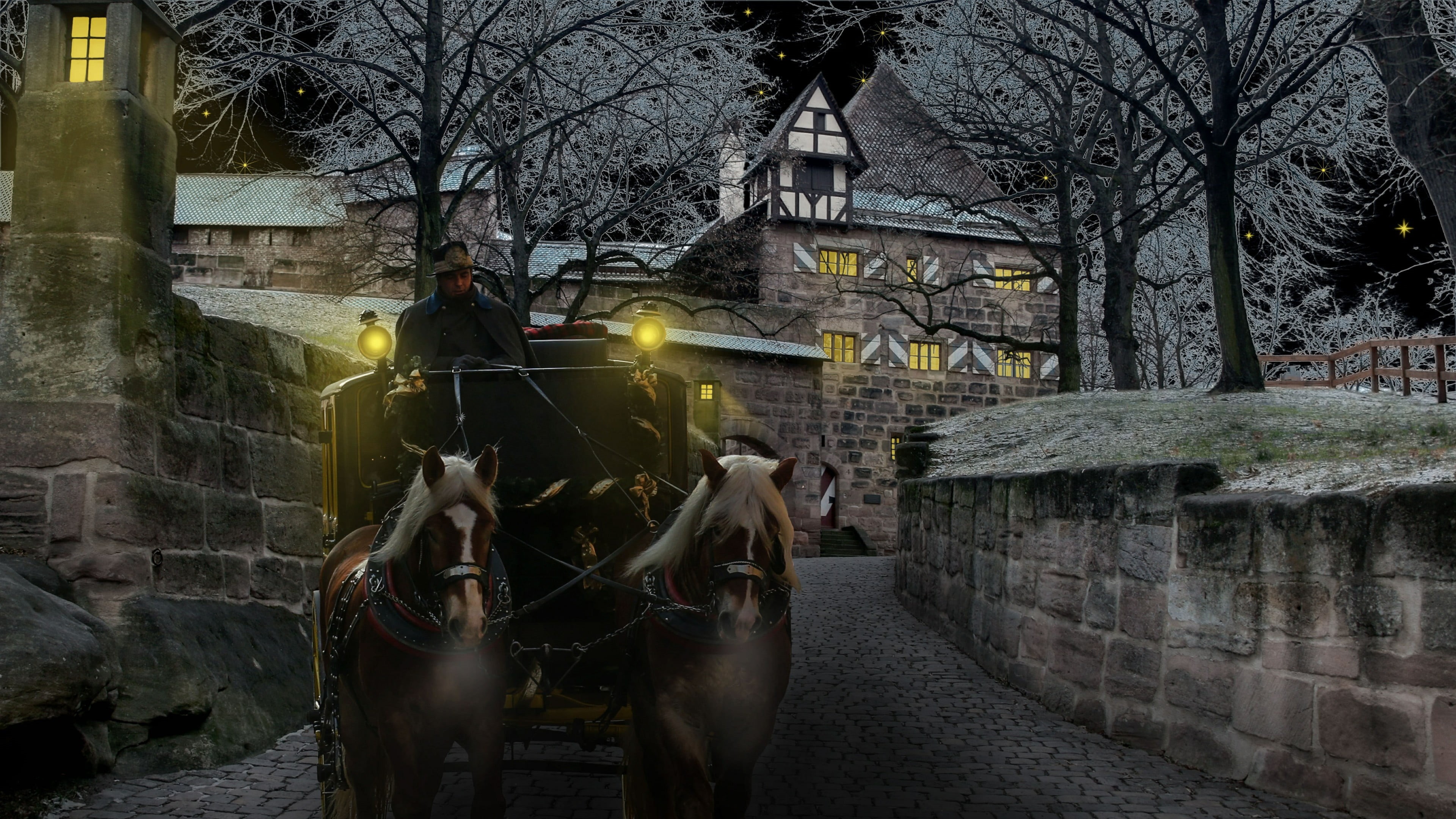 bran castle, nature, domestic, bare tree, transylvania, pets, architecture, domestic animals, outdoors, winter, tree, animal themes, dracula castle, winter night, HD Wallpaper