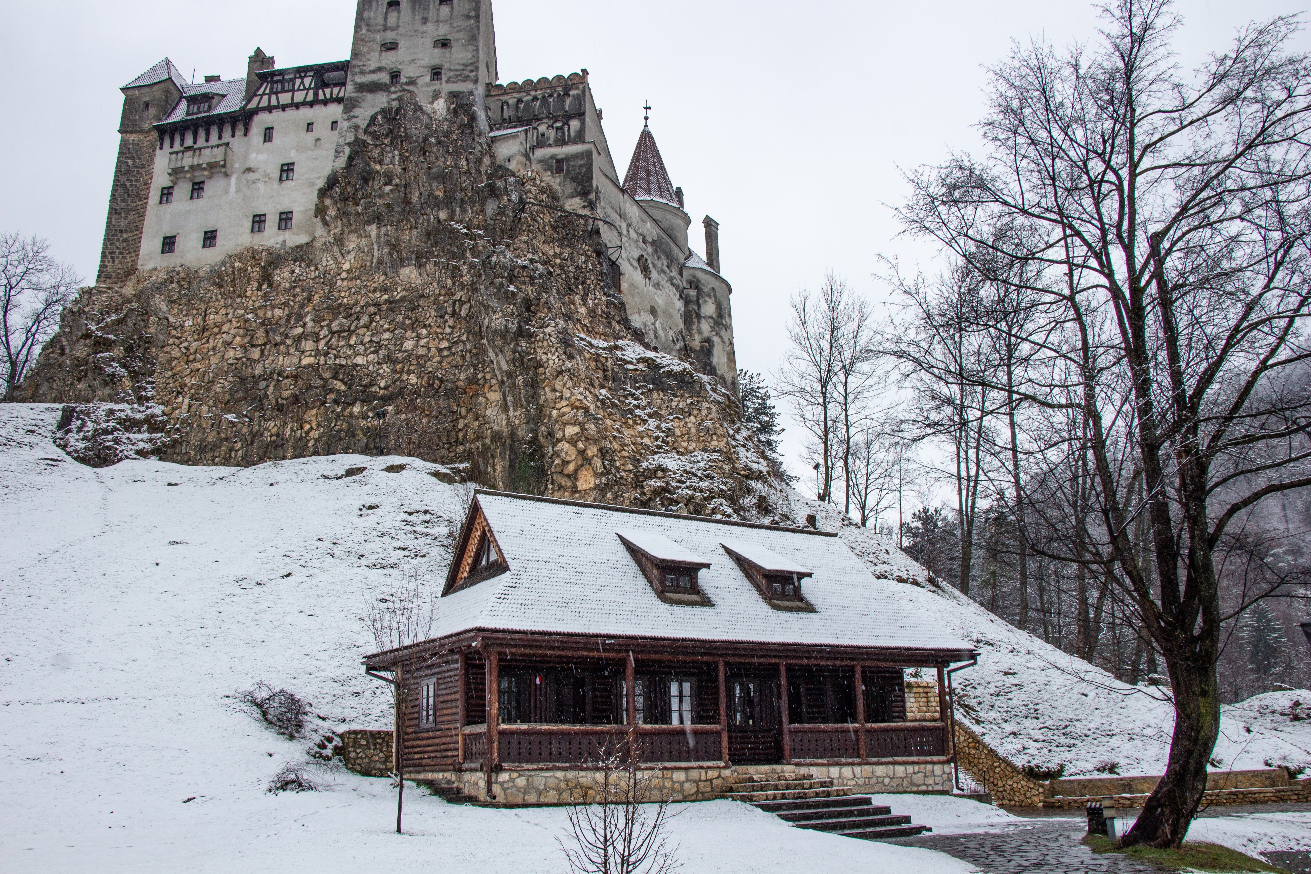 famous, tourism, medieval, world heritage, romania, european old town, snow, architecture, fortress, day, transylvania, no people, the past, bare tree, HD Wallpaper