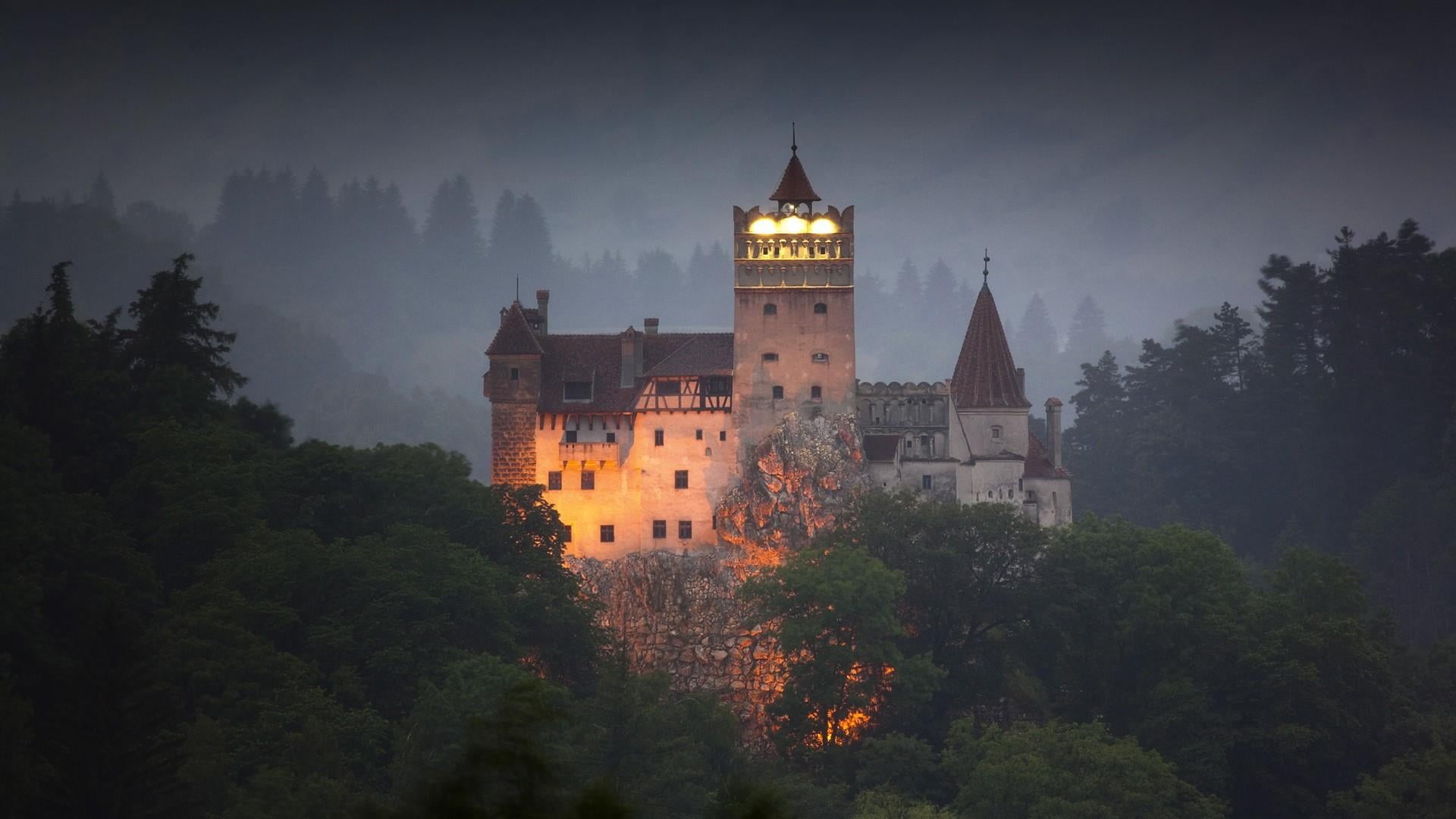 brasov, history, bran castle, europe, the past, castle, illuminated, building exterior, no people, plant, travel, built structure, romania, tree, dusk, HD Wallpaper