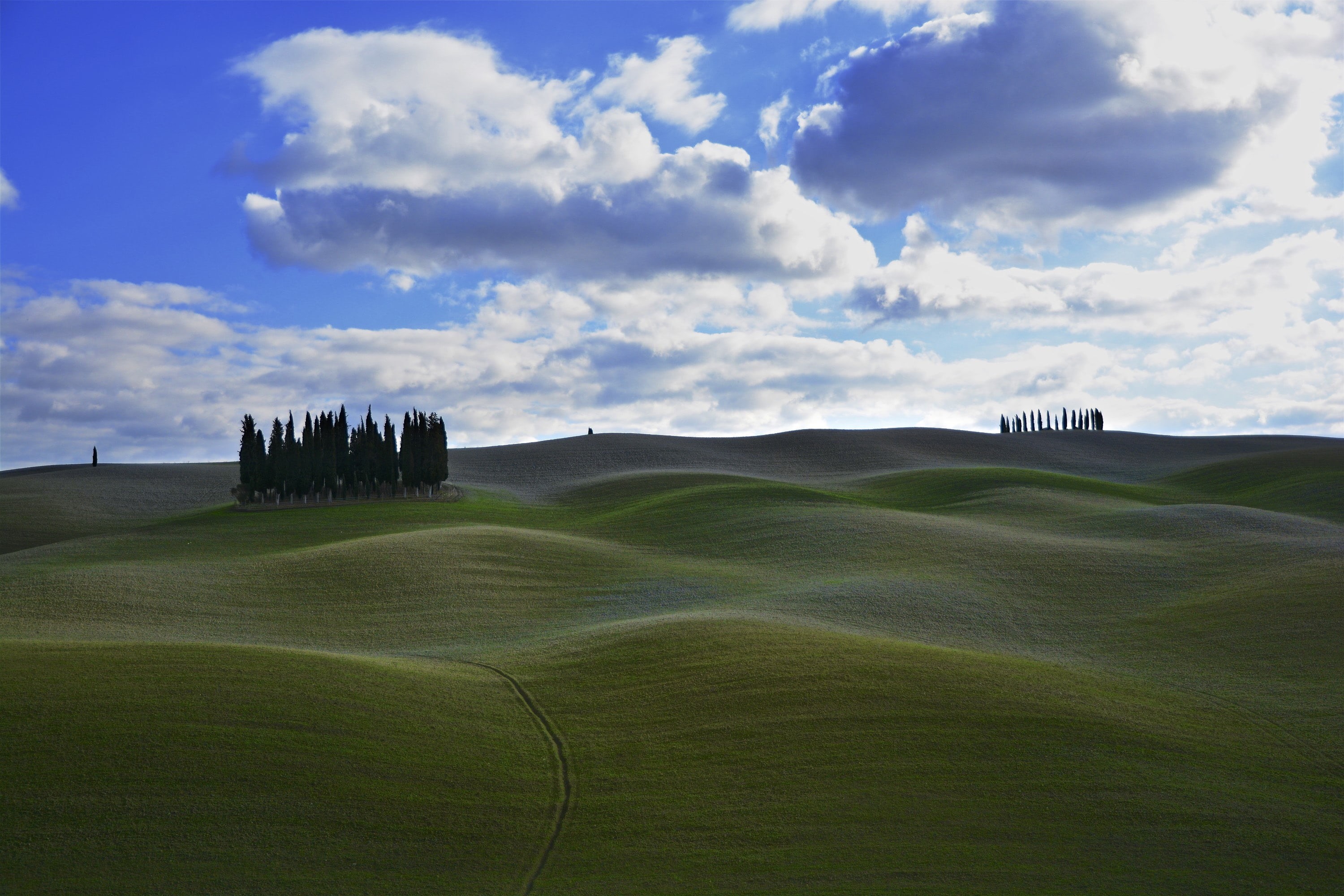 siena Province, rolling hills, nikon  d7100, san, colline, orcia, quirico, photo, outdoors, San Quirico dOrcia, italy, Winter, grassy, italian Cypress, HD Wallpaper