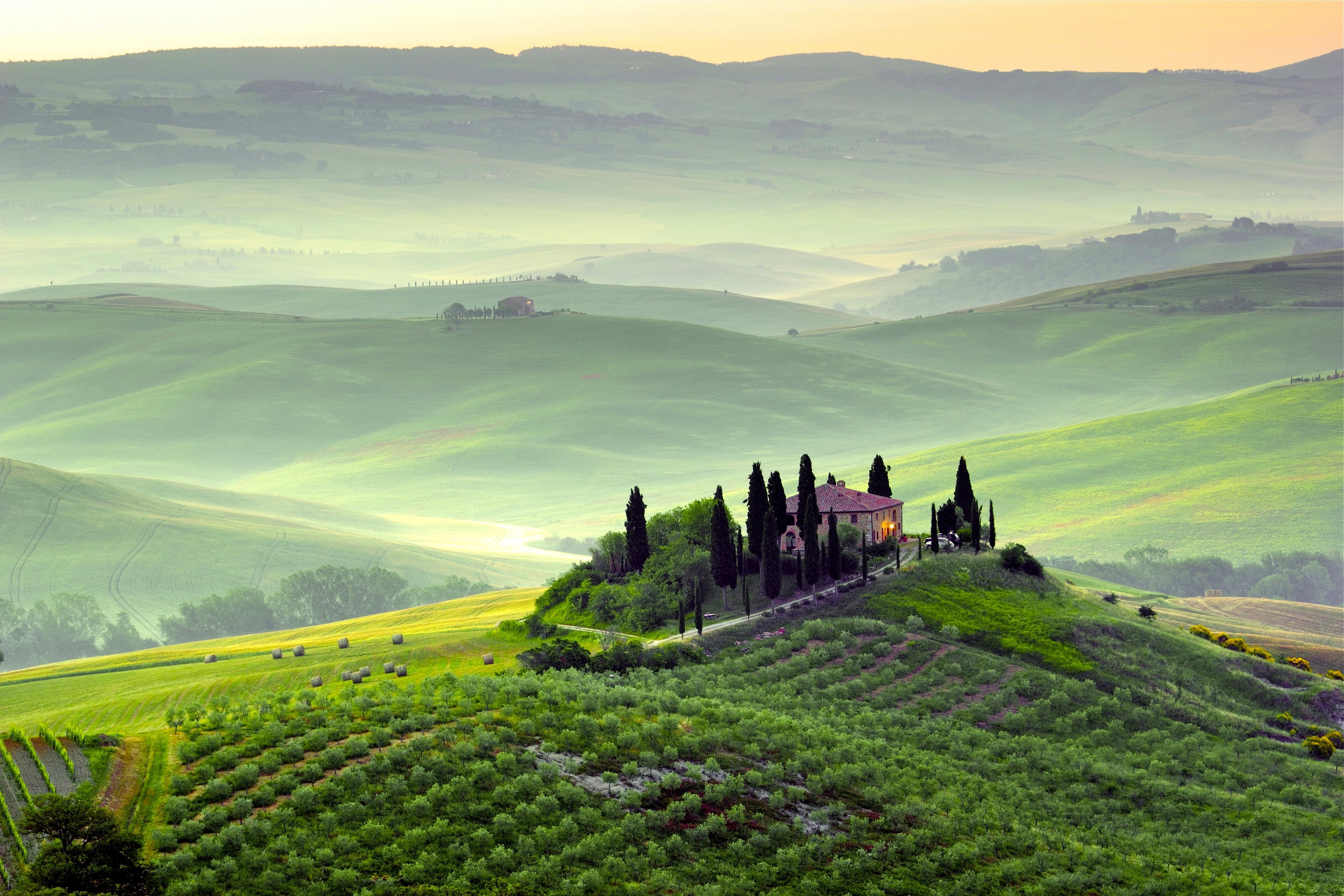 meadow, rural Scene, tranquility, autumn, green, grasses, italian Culture, season, dawn, color Image, agriculture, tree, nature, summer, farm, siena Province, HD Wallpaper