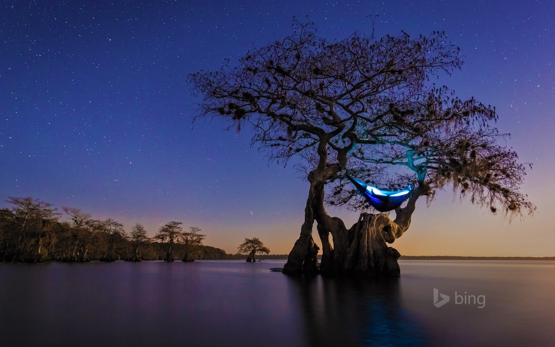 1080P, star - space, night, hammock, beauty in nature, camping, tree, water, space, idyllic, purple, outdoors, blue, florida, bing, scenics - nature, plant, HD Wallpaper