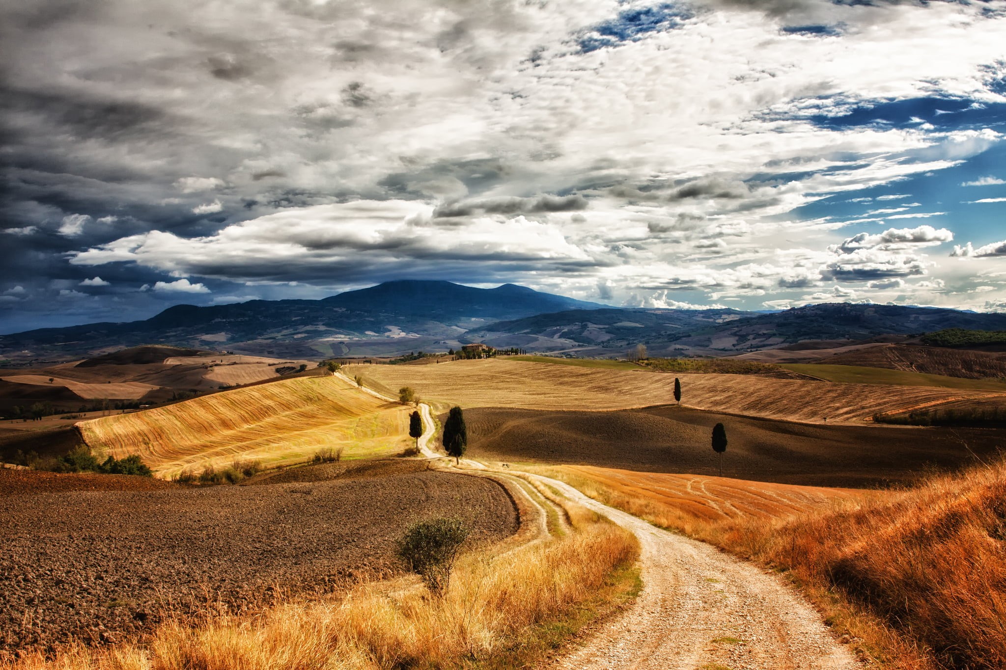 summer, autumn, wheat, sunlight, outdoors, beauty In Nature, siena, val dOrcia, crop, landscaped, brown, green Color, tree, hills, cloudscape, landscape, HD Wallpaper