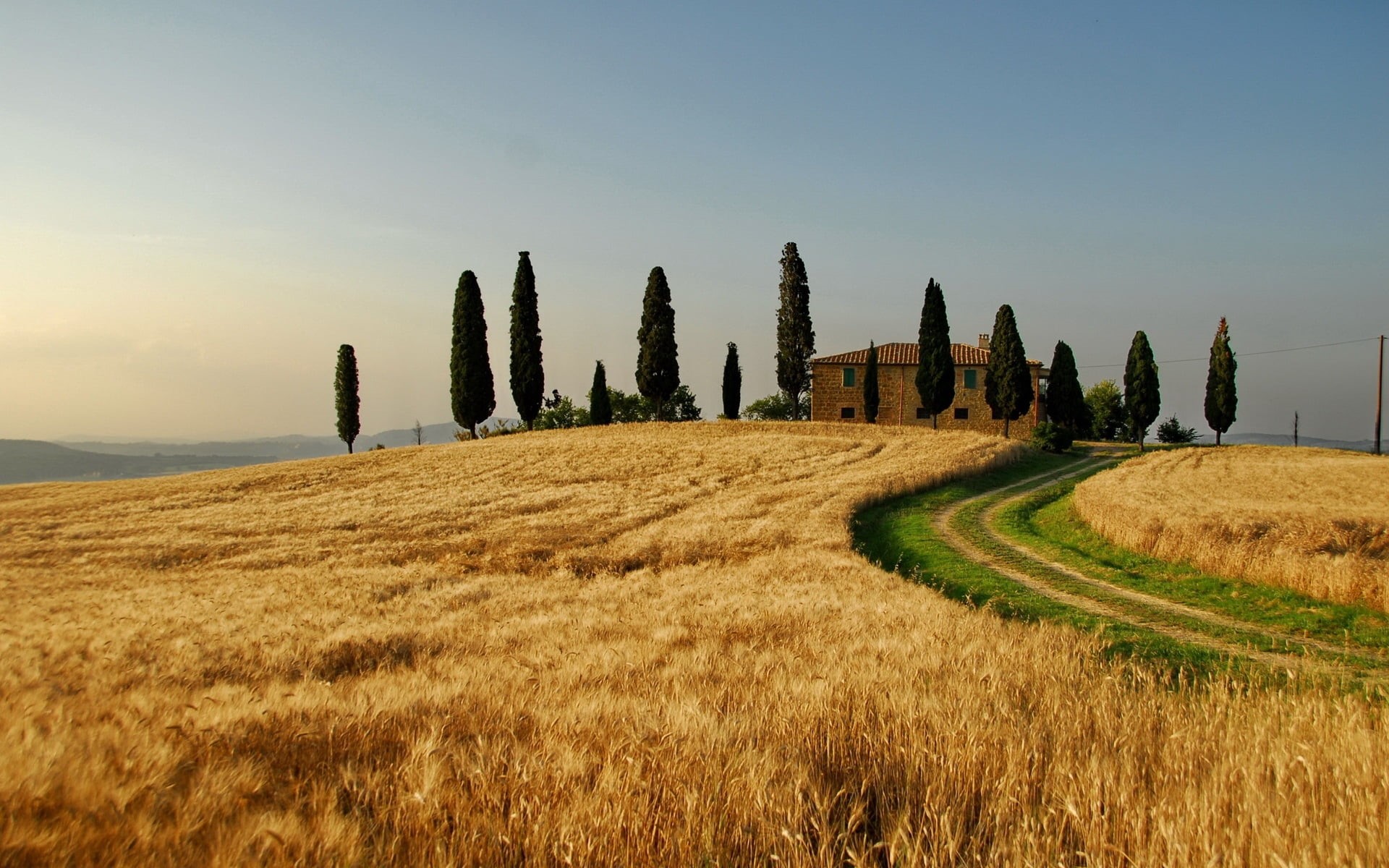 crop, farm, tranquil Scene, sunlight, landscape, grass, tree, cypress Tree, morning, meadow, house, chianti Region, nature, panoramic, possession, yellow, HD Wallpaper