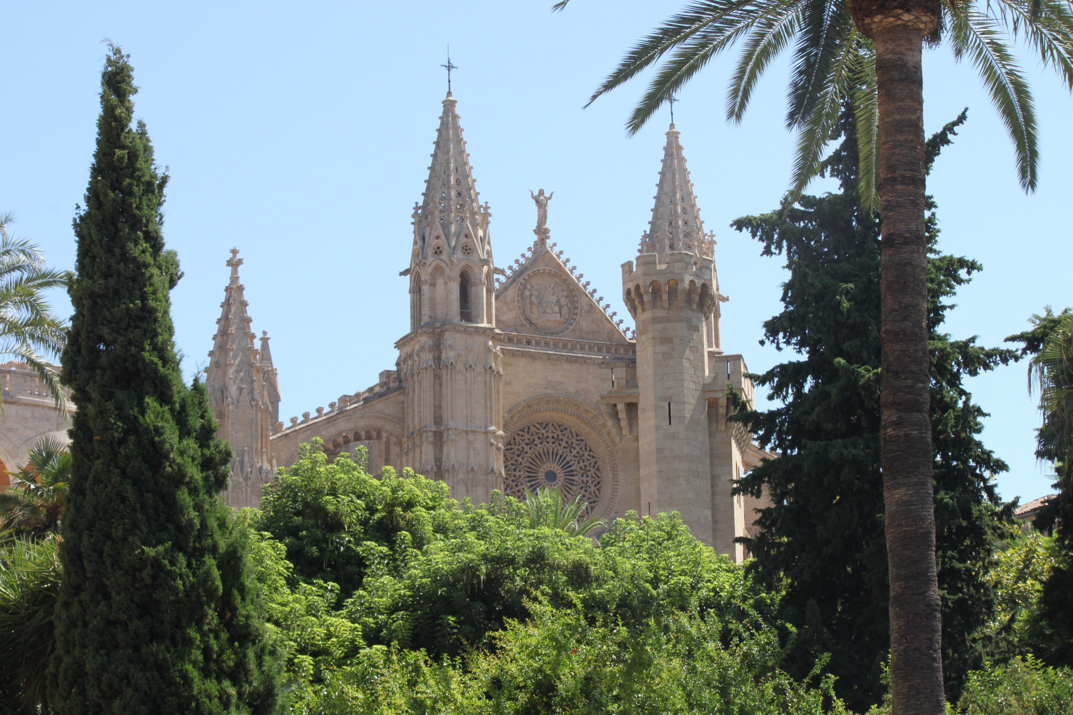 plant, cypress, palm, religion, green color, building exterior, palm tree, travel destinations, day, tree, balearic islands, sky, low angle view, mallorca, HD Wallpaper