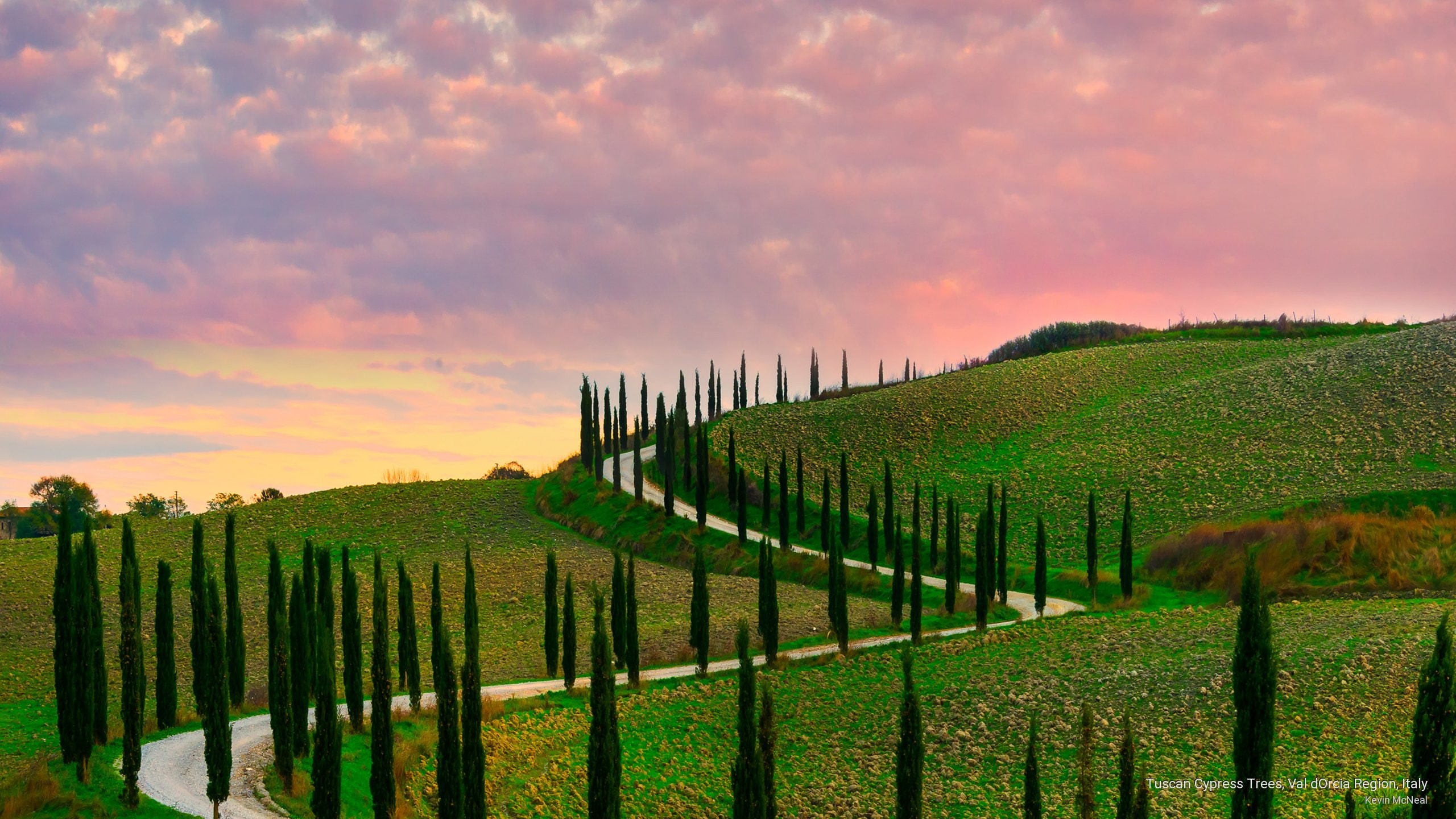 Sunrises/Sunsets, cypress, trees, region, italy, tuscan, dorcia, val, 2K, HD Wallpaper