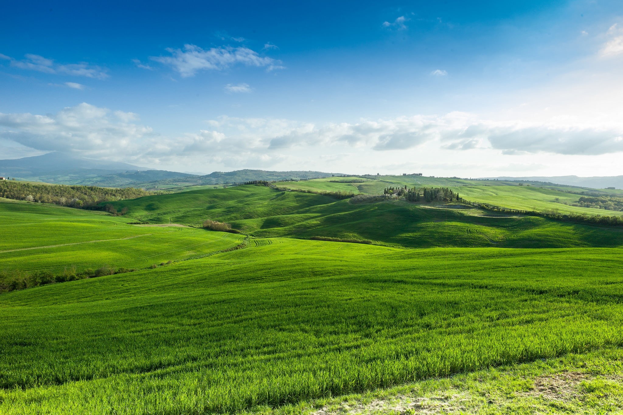 day, plant, space, mountain, no People, chianti Region, sunny, springtime, beauty In Nature, scenics - nature, 1080P, green Color, agriculture, growth, HD Wallpaper