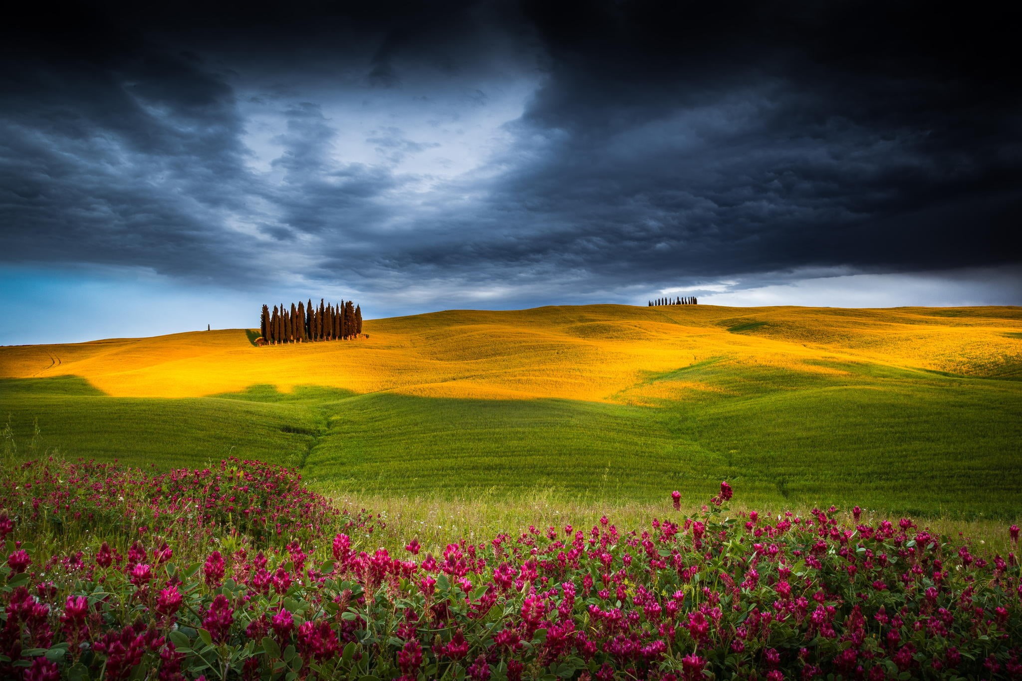 landscape, pink, tranquility, san Quirico Dorcia, horizon Over Land, storm, val dOrcia, plain, flowers, non-Urban Scene, sunlight, idyllic, flower, springtime, HD Wallpaper