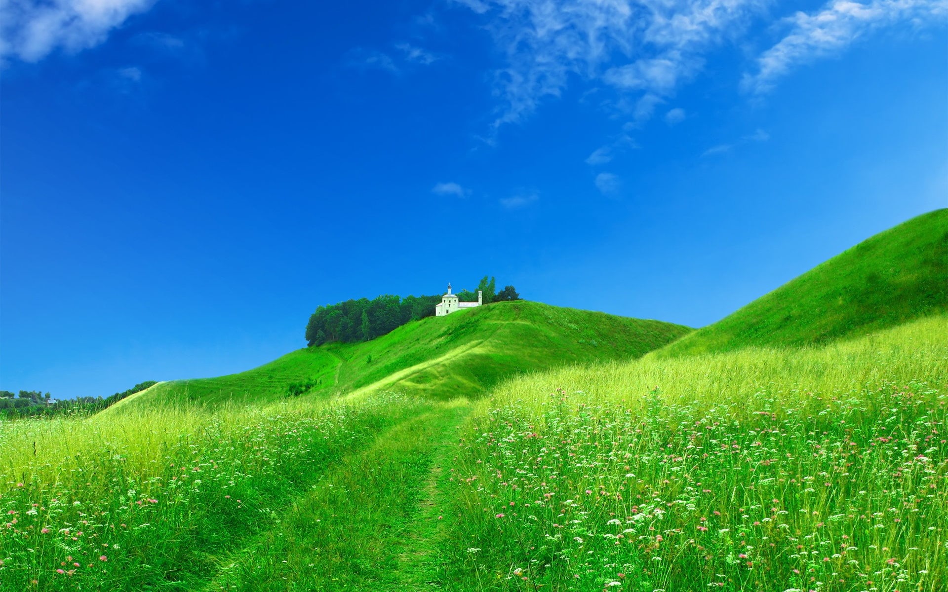 landscaped, landscape, flowers, meadow, structure, non-Urban Scene, chapel, siena Province, famous Place, beauty In Nature, farm, land, summer, nature, HD Wallpaper
