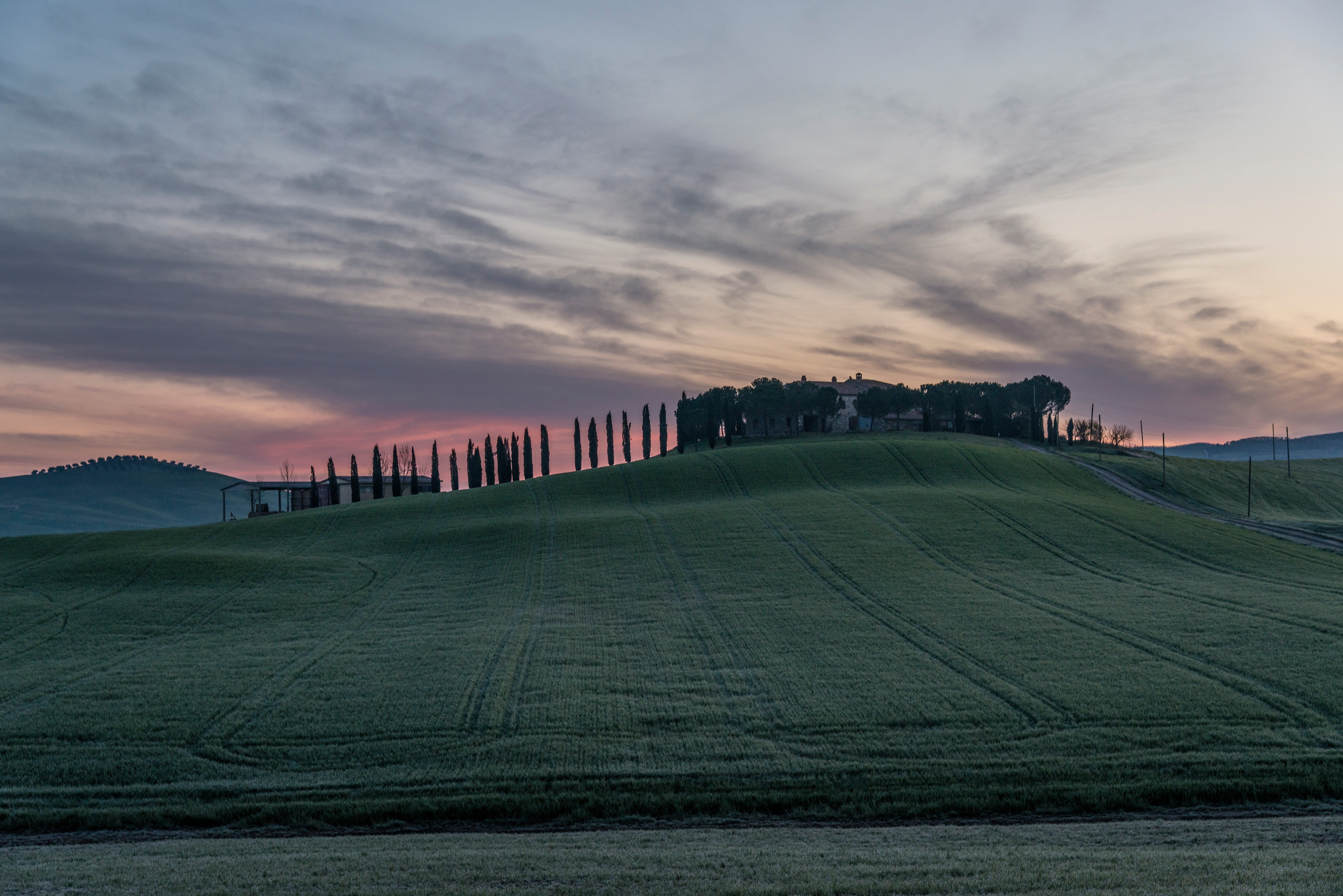 grass, tranquility, lawn, hill, nature, italy, cypress Tree, chianti Region, farm, distance, outdoors, green grass, sunrise, italian Cypress, landscape, HD Wallpaper