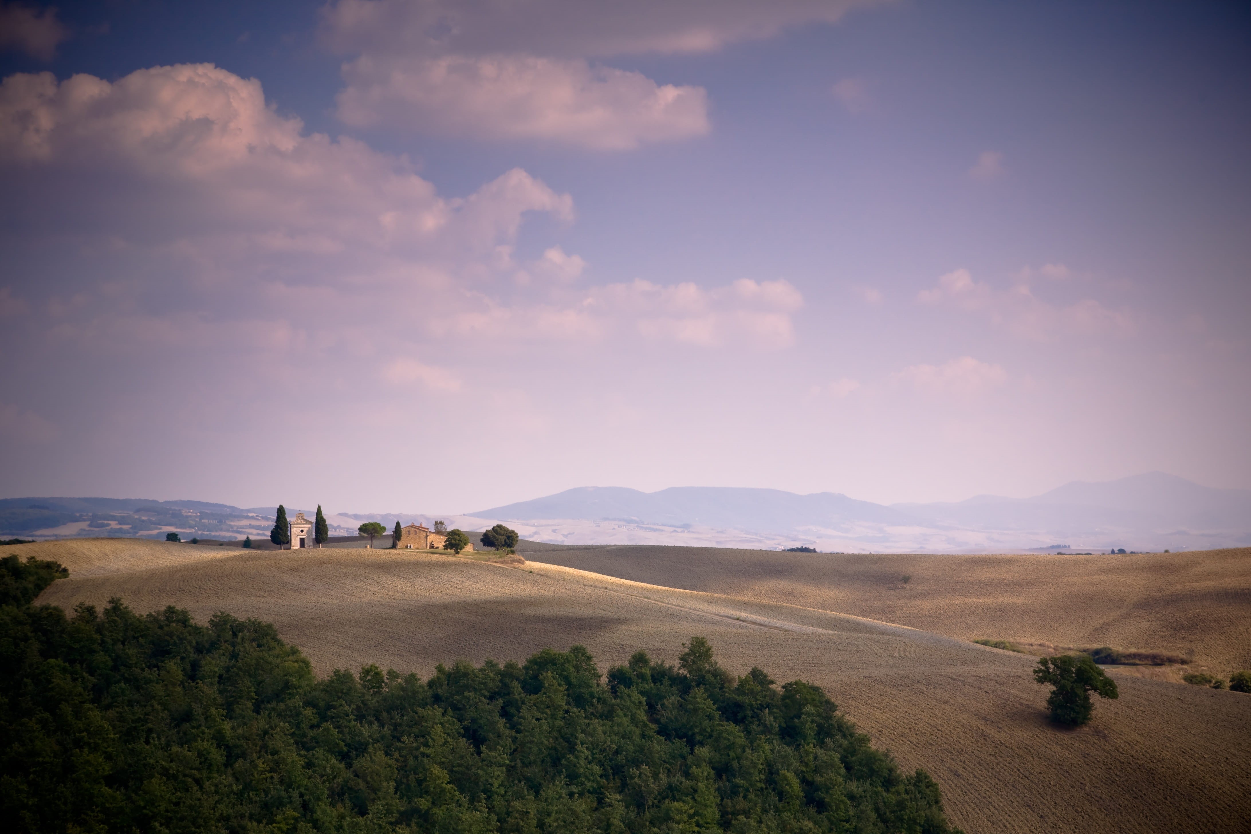 tranquil scene, sky, agriculture, italy, tree, cloud - sky, clouds, landscape, hills, italian Cypress, environment, outdoors, beauty In Nature, rural Scene, HD Wallpaper