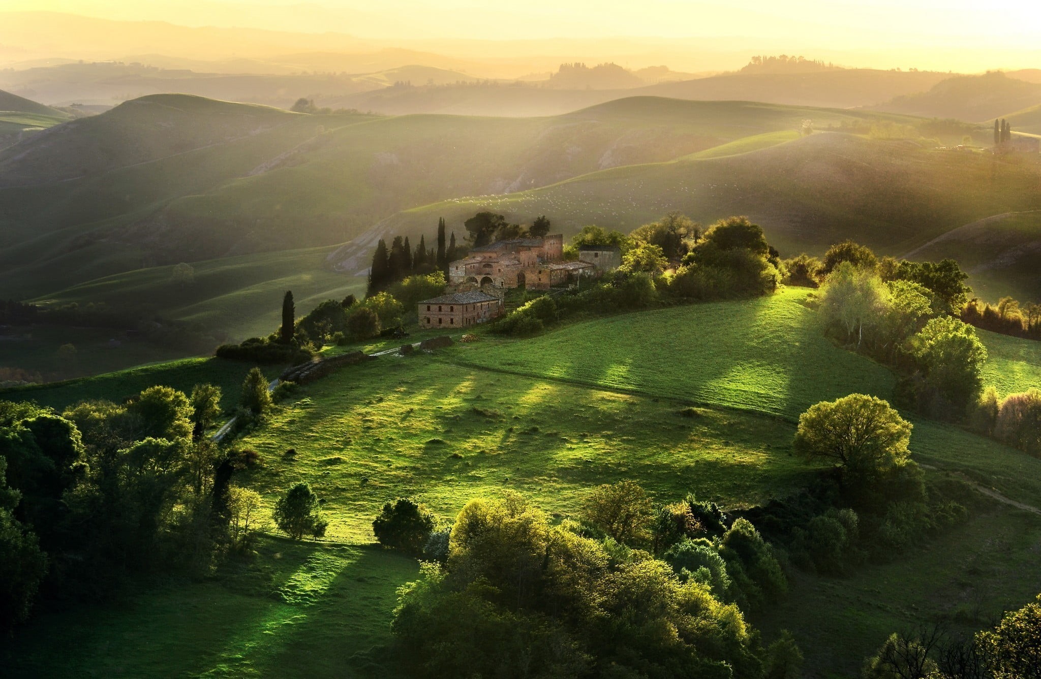 italian Culture, 1080P, sunset, color Image, land, non-Urban Scene, cypress Tree, sky, mist, agriculture, valley, sun, outdoors, fog, farm, scenics - nature, HD Wallpaper