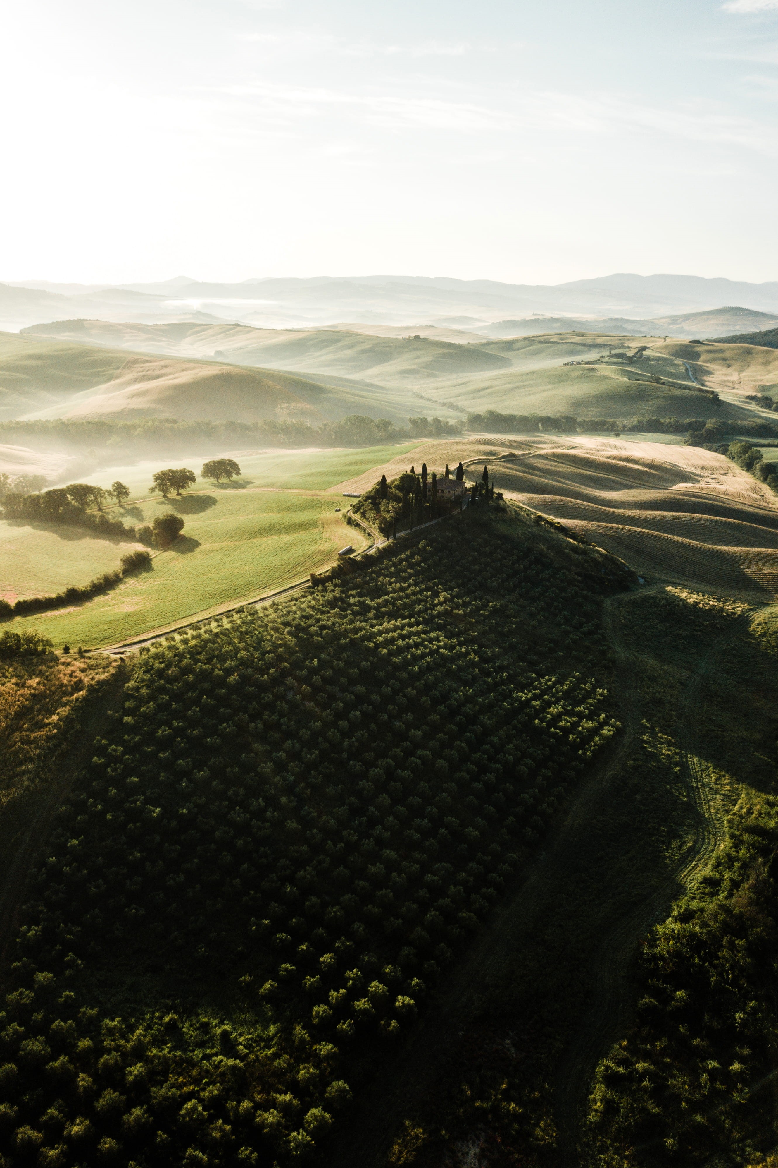 plant, europe, day, val dOrcia, house, hill, mountain, environment, filed landscape from above, fog, outdoors, village, 4K, siena Province, green filed, Phone HD Wallpaper