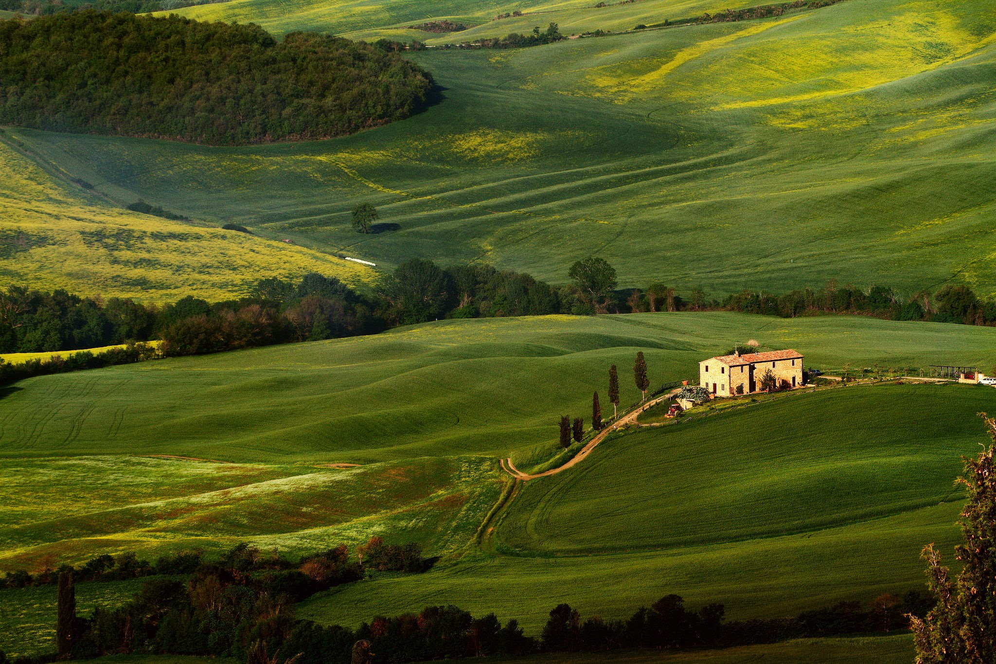 landscaped, pienza, san Quirico Dorcia, siena Province, white, rolling Landscape, agriculture, idyllic, nature, scenics - nature, cypress Tree, hill, meadow, HD Wallpaper