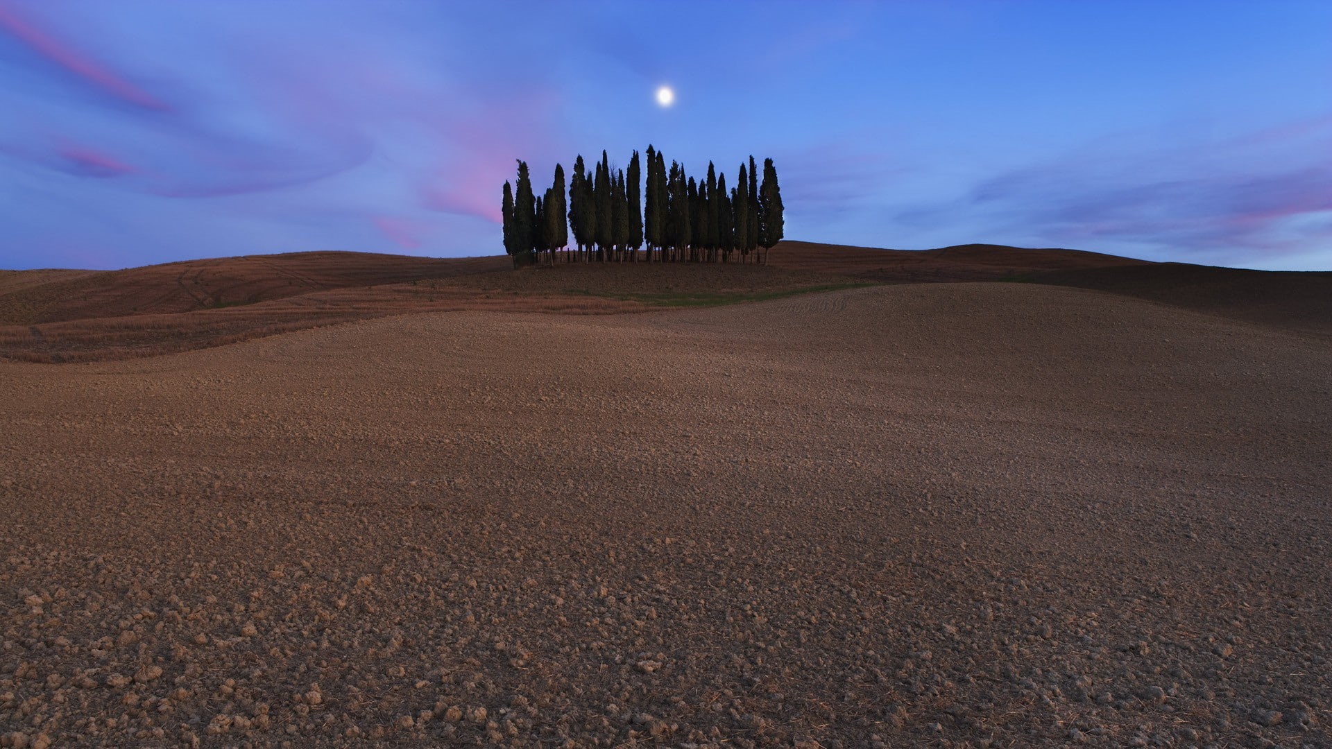 quirico, trees, italy, san, 1080P, d 039 orcia, cypress, cipressi, siena, landscapes, HD Wallpaper
