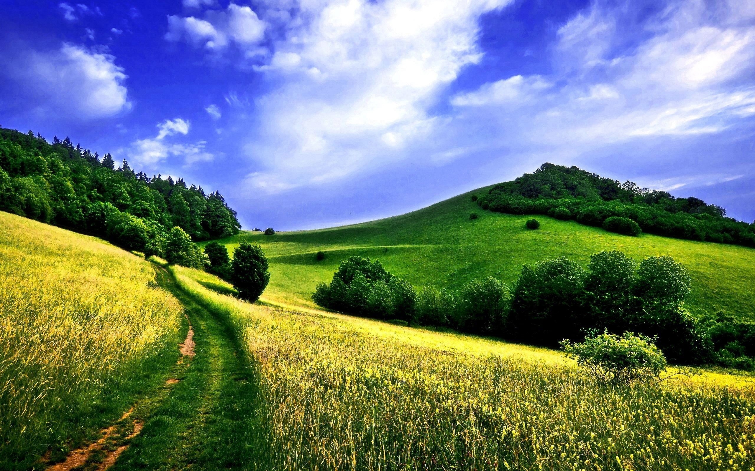 cloudscape, sunny, mountain, non-Urban Scene, growth, track, scenics - nature, hill, color Image, road, blue, sky, beauty In Nature, slope, environment, HD Wallpaper
