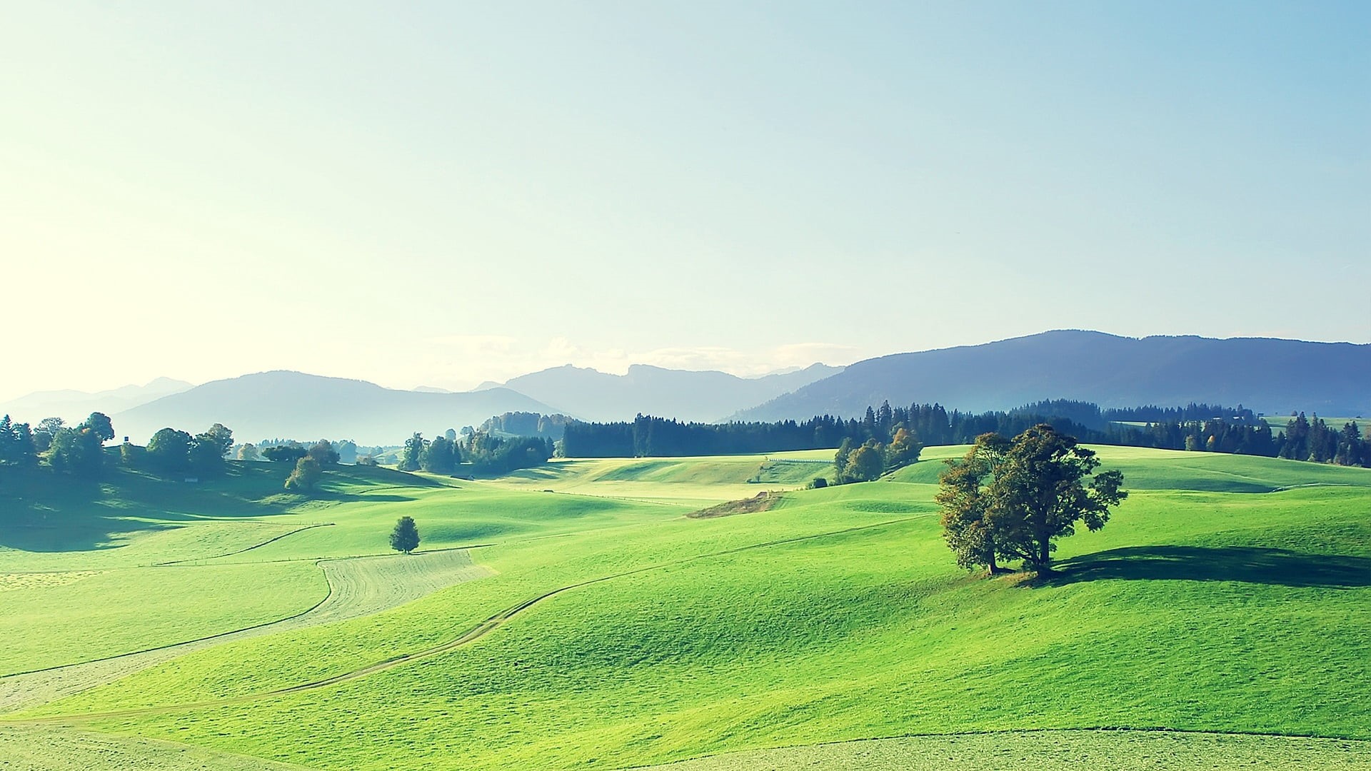 trees, summer, mountain range, agriculture, italy, beauty In Nature, hill, plant, outdoors, season, non-Urban Scene, autumn, cloud - Sky, scenics, faded, HD Wallpaper