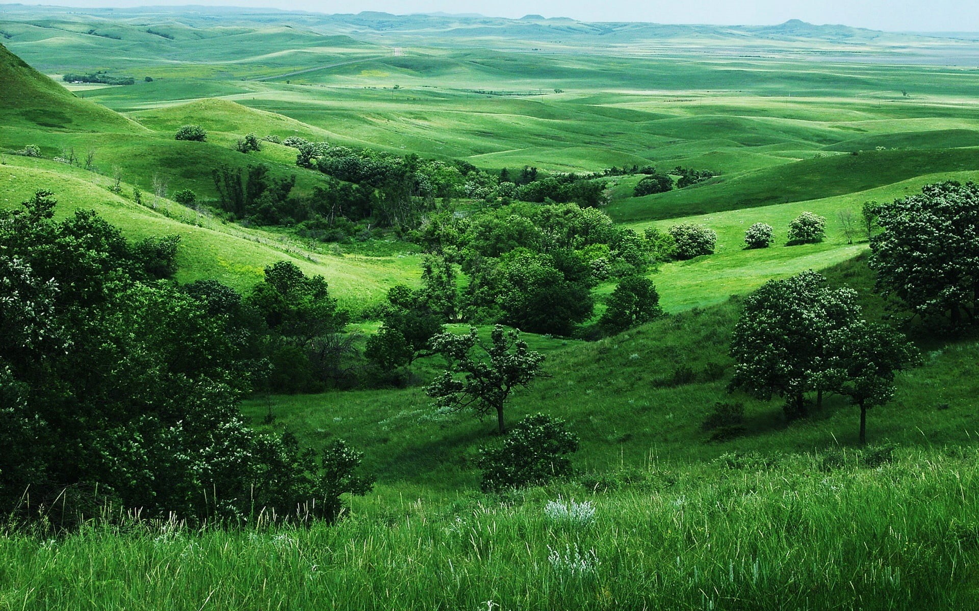 idyllic, outdoors, agriculture, val dOrcia, scenics - nature, tuscany, grass, land, rolling Landscape, hill, meadow, plain, landscaped, italian Culture, HD Wallpaper