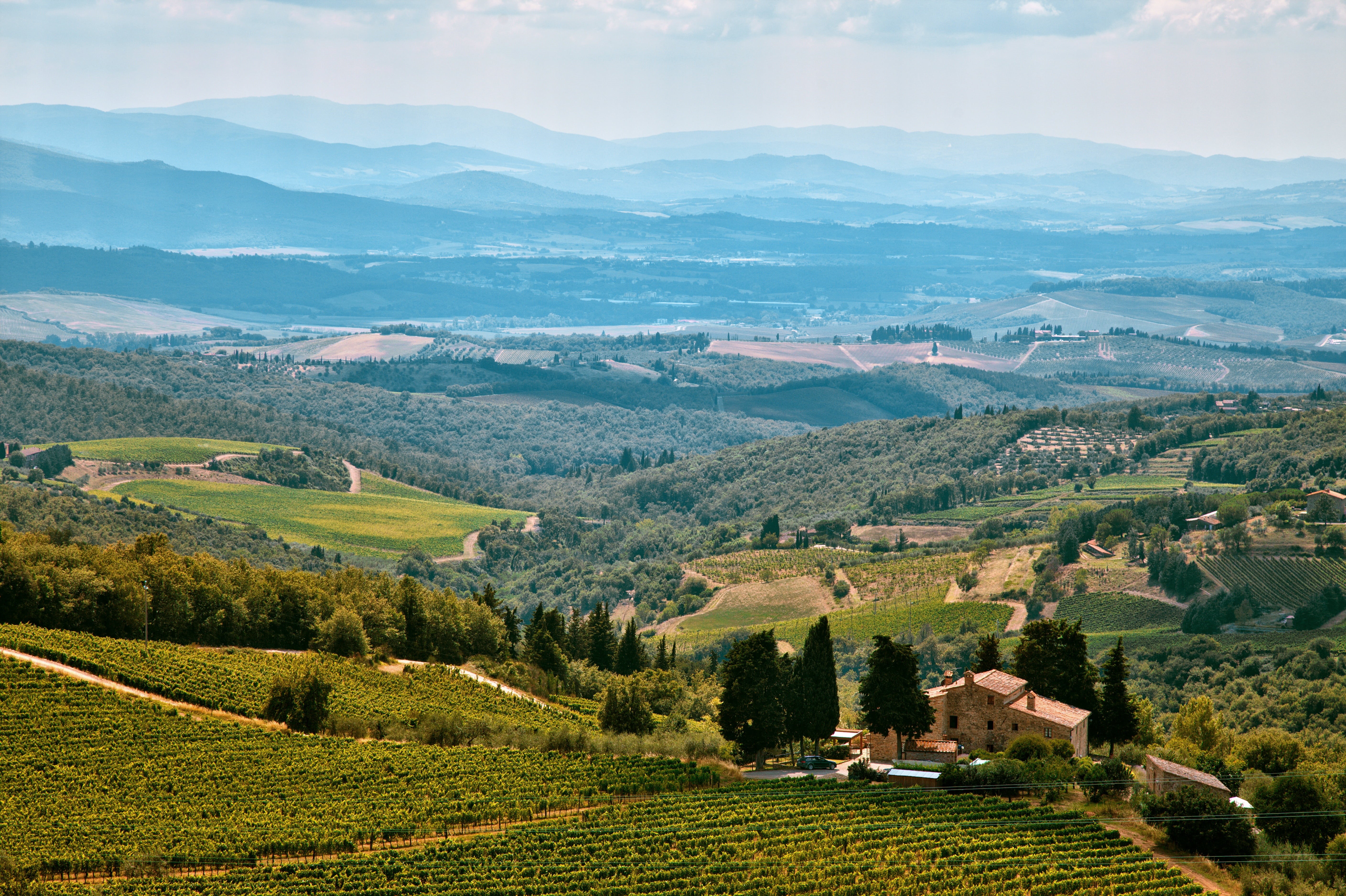 rural, beauty in nature, tuscany, agriculture, hill, rural Scene, plant, 5K, mountain, piedmont, europe, summer, winery, sky, nature, landscape, wine, HD Wallpaper