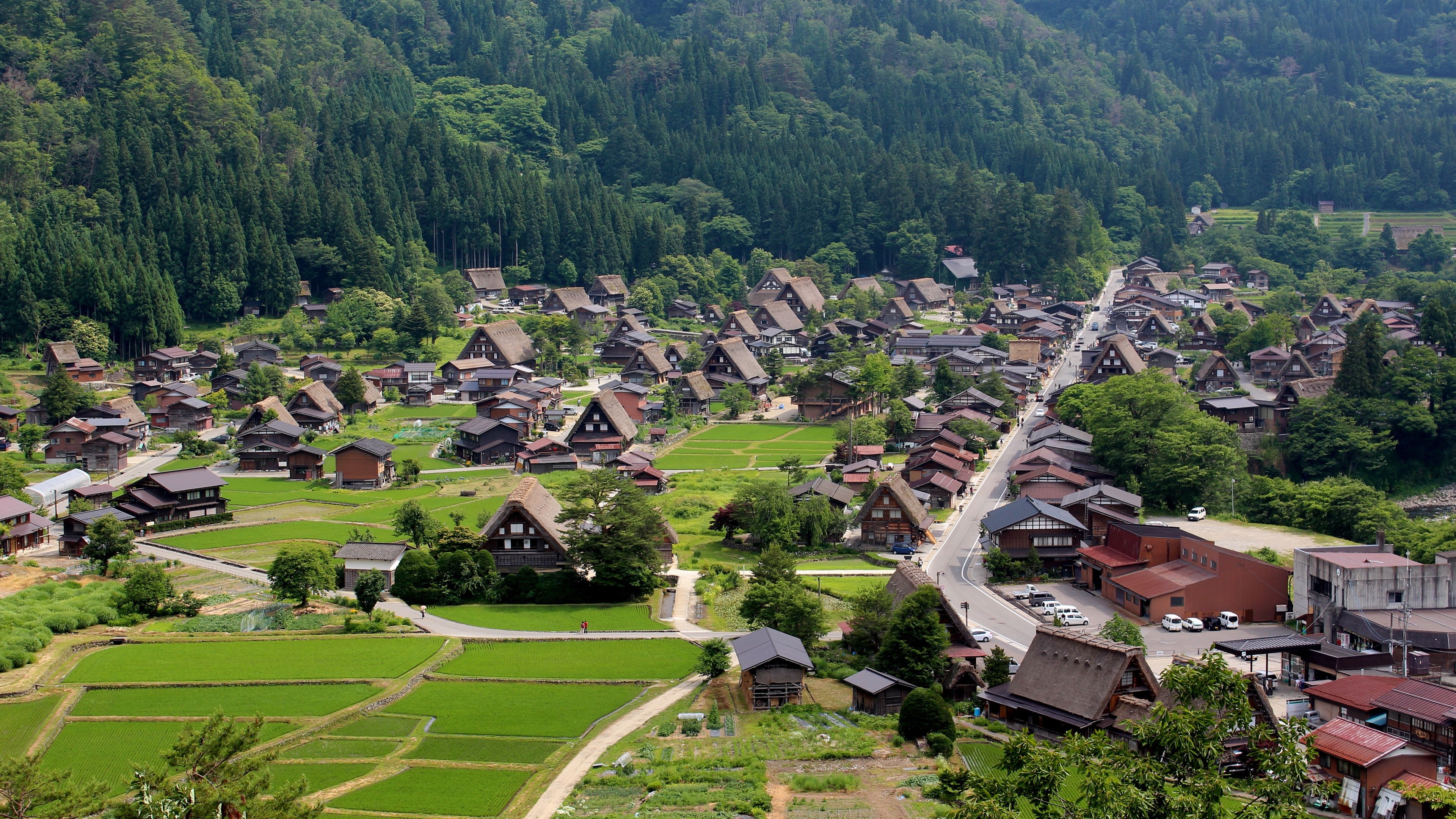 Ogimachi, Shiroyama, Farmhouses, 4K, Shirakawago, Gassho, Zukuri, Village, Japan, HD Wallpaper