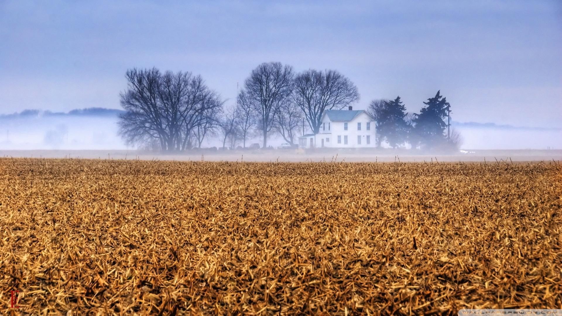 nature and landscapes, trees, house, mist, kansas, field, farm, farmhouse, 1080P, HD Wallpaper