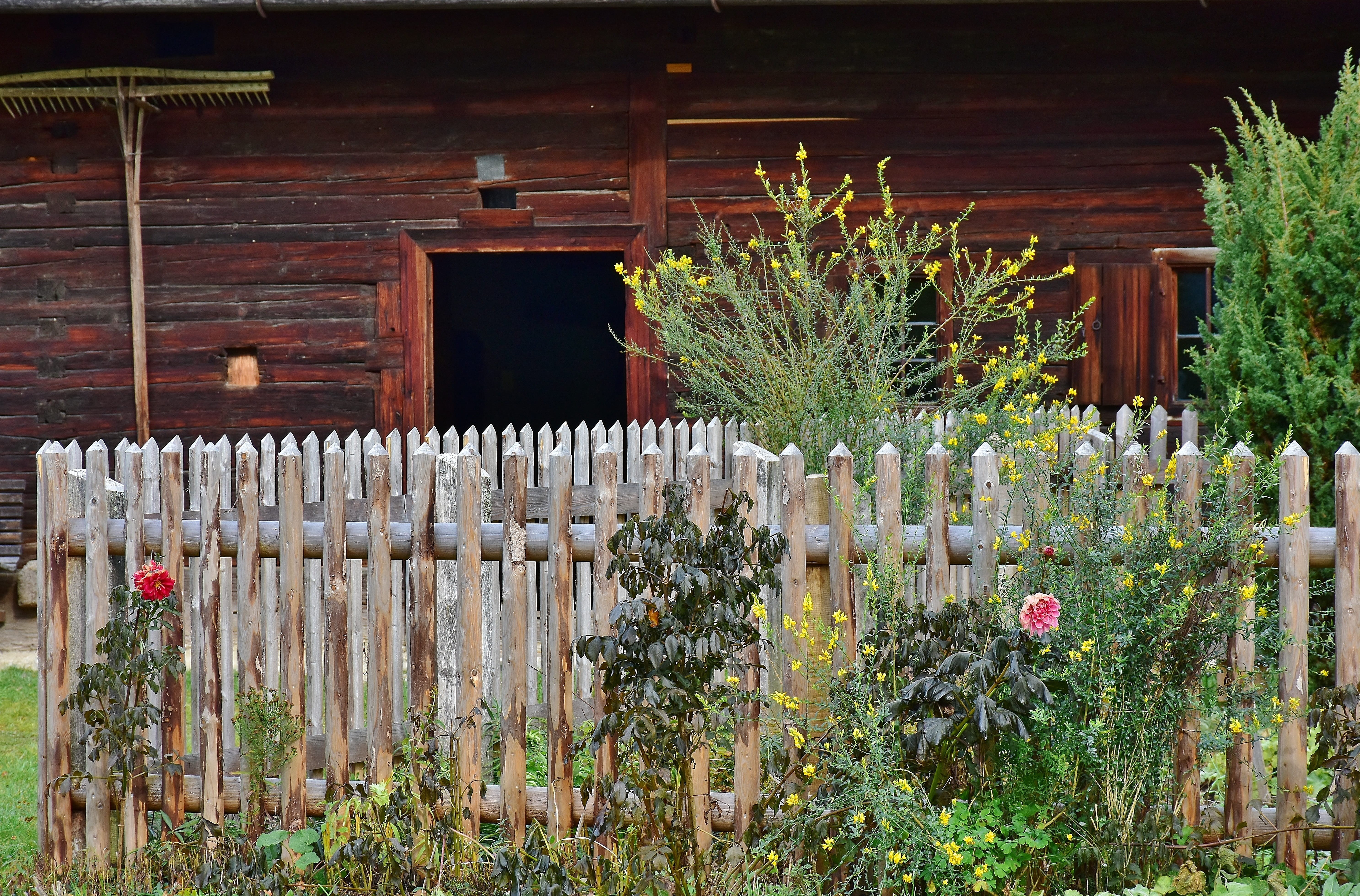 rustic, gardening, cottage garden, still life, flowers, flower, entwine, flora, built structure, home, day, farm, boundary, romance, agriculture, window, HD Wallpaper