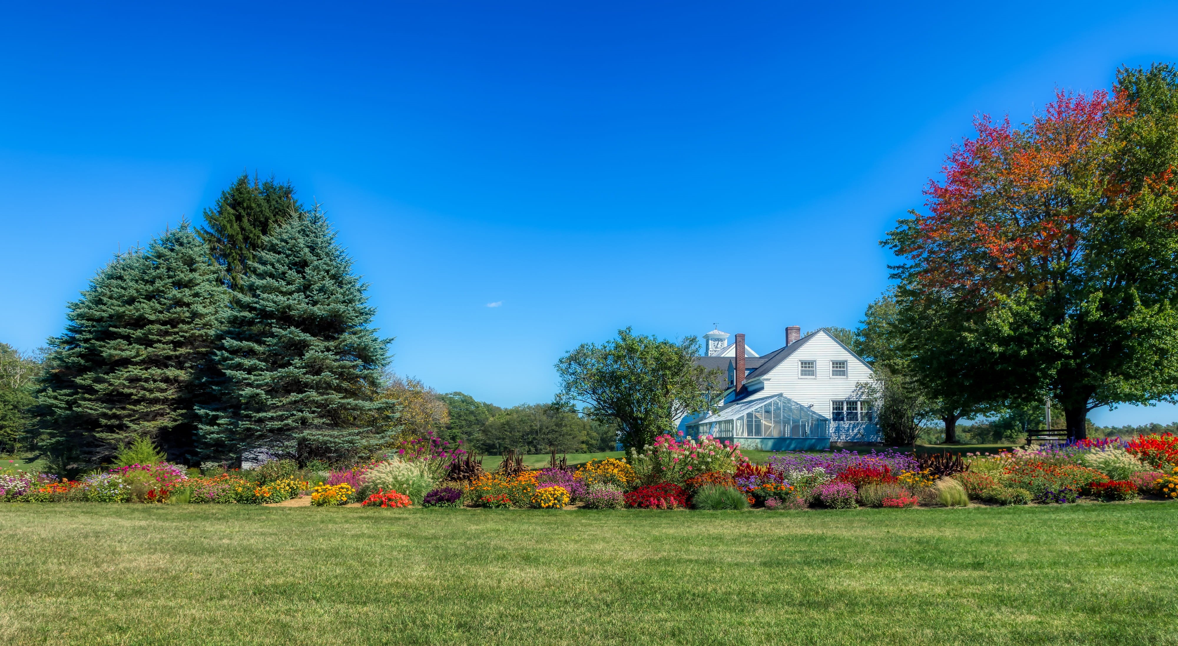 day, hdr, nature, autumn, outdoors, architecture, greenhouse, land, beauty in nature, sky, rural, built structure, plants, building, growth, countryside, HD Wallpaper