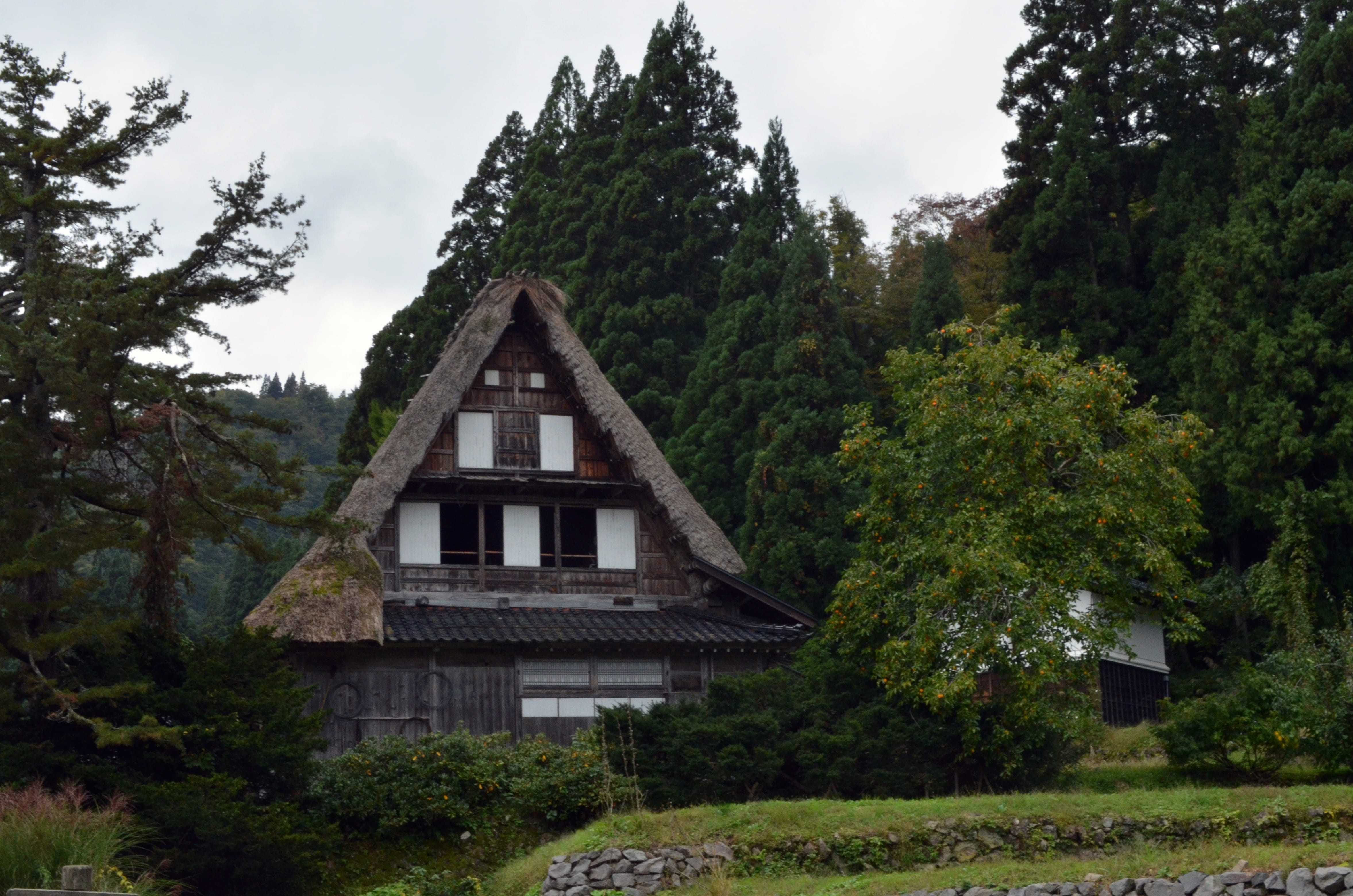 village, outdoors, built structure, building exterior, beauty in nature, no people, japan, tree, house, forest, building, farmhouse, sky, nature, plant, HD Wallpaper