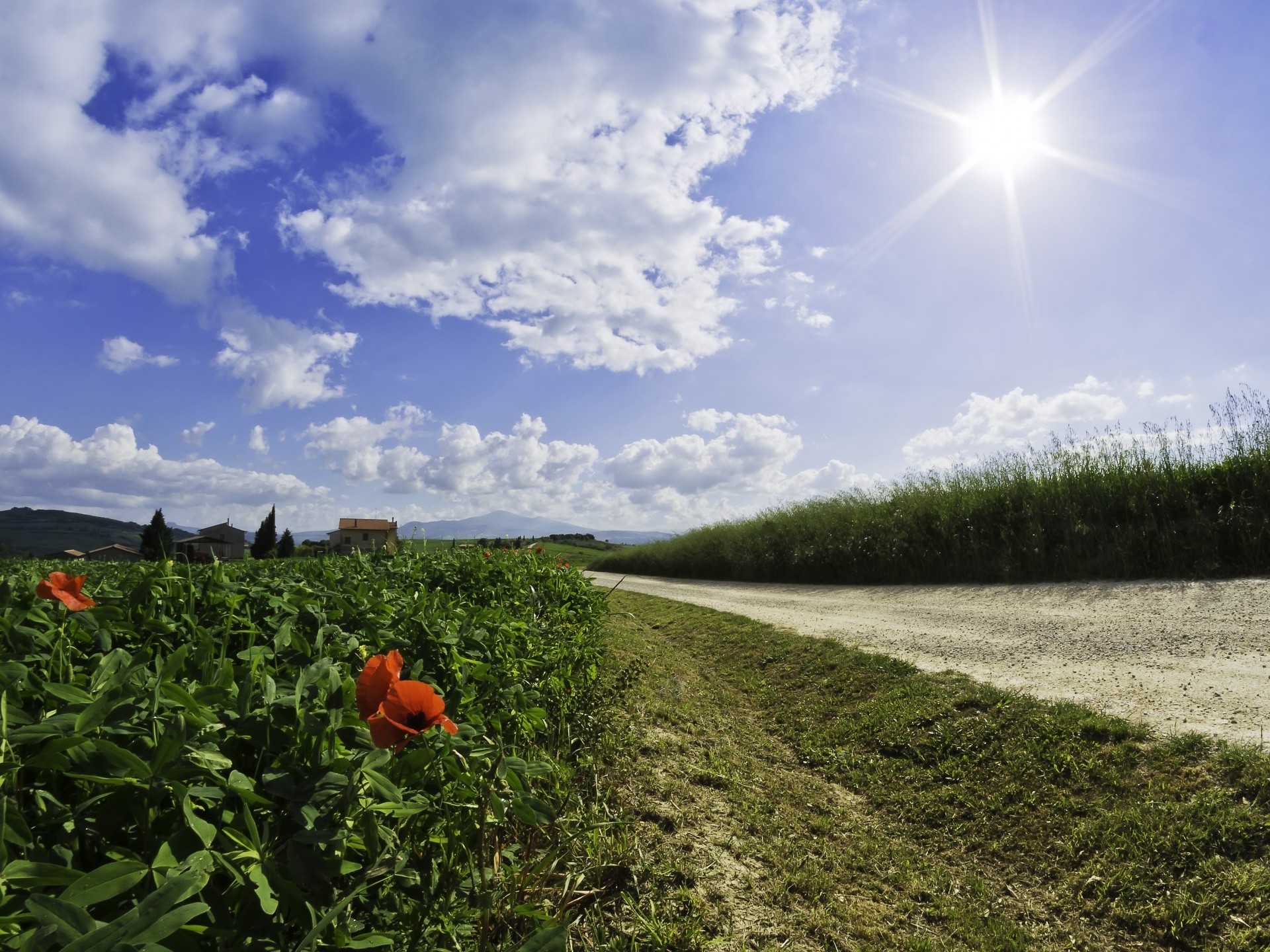 no people, growth, beauty in nature, cloud - sky, agriculture, lens flare, sunbeam, tranquil scene, land, landscape, tuscan landscape, scenics - nature, HD Wallpaper