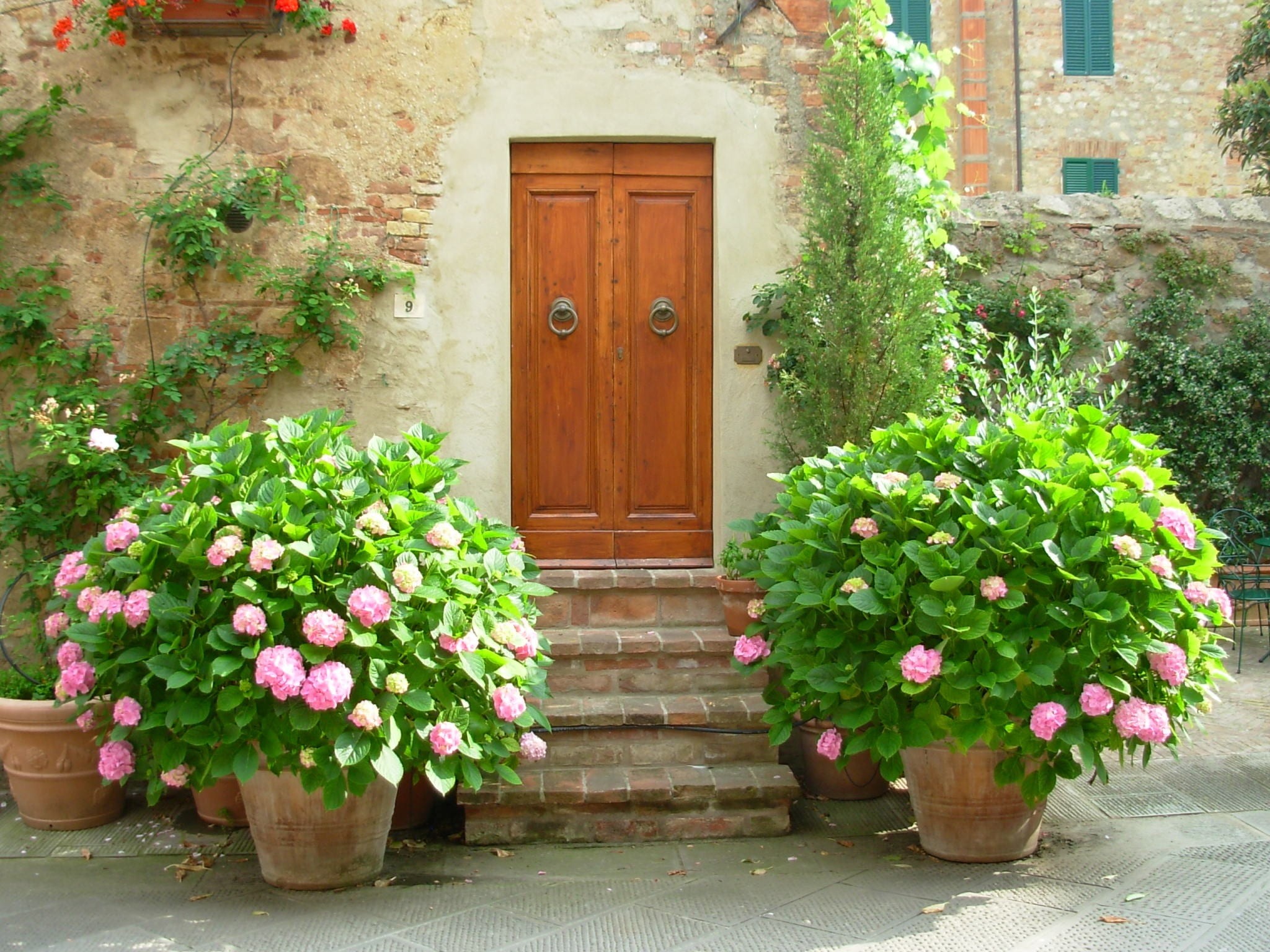 closed, flowering plant, no people, flower, brown, 1080P, tuscany, wooden, port, wood - material, green color, hydrangea, nature, day, building exterior, HD Wallpaper